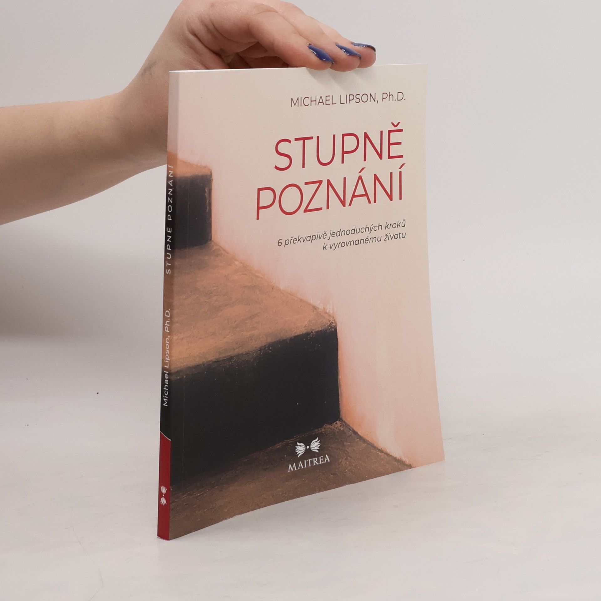 Michael Lipson Stupně poznání