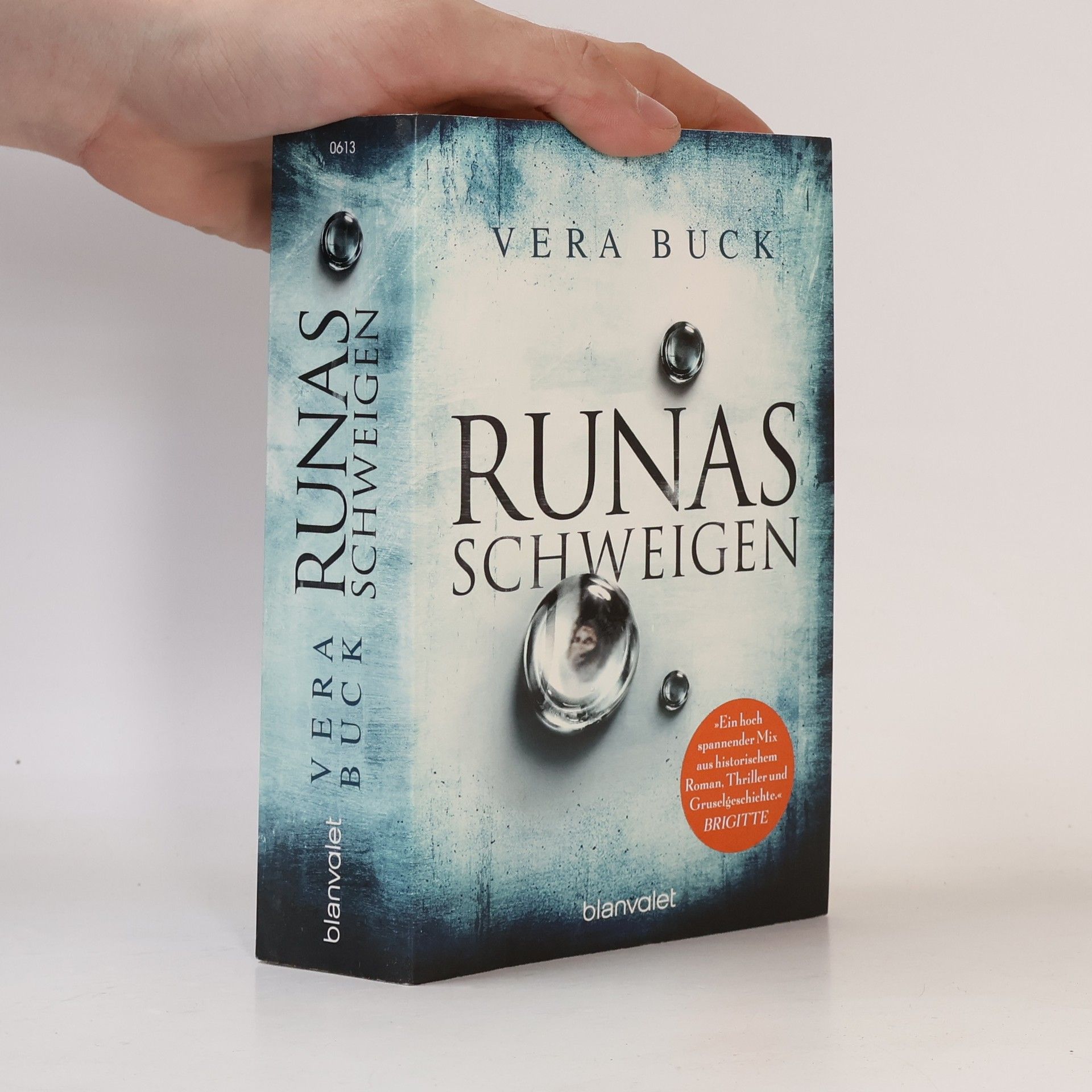 Vera Buck Das Buch der vergessenen Artisten