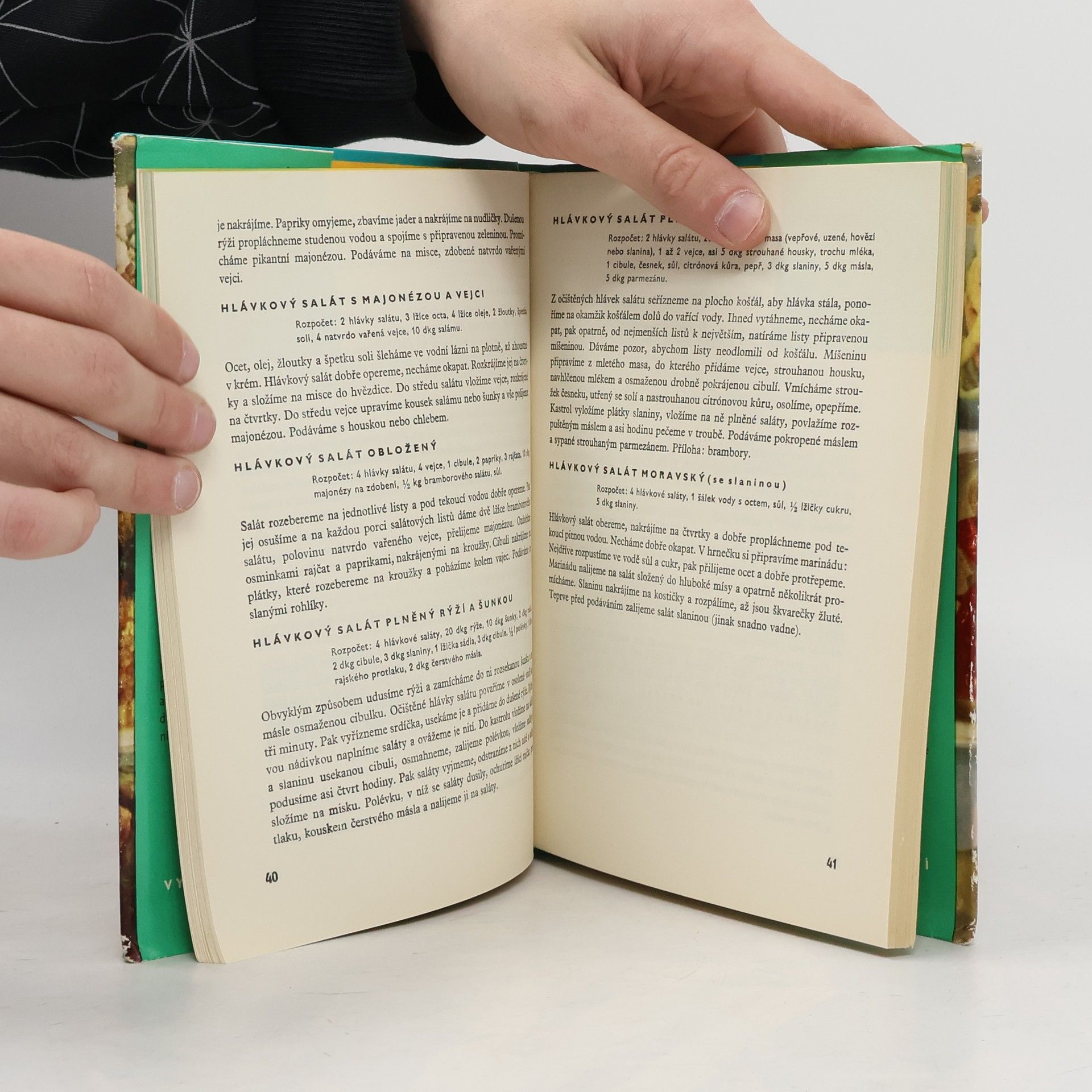 Collectif d'auteurs Zeleninová mísa