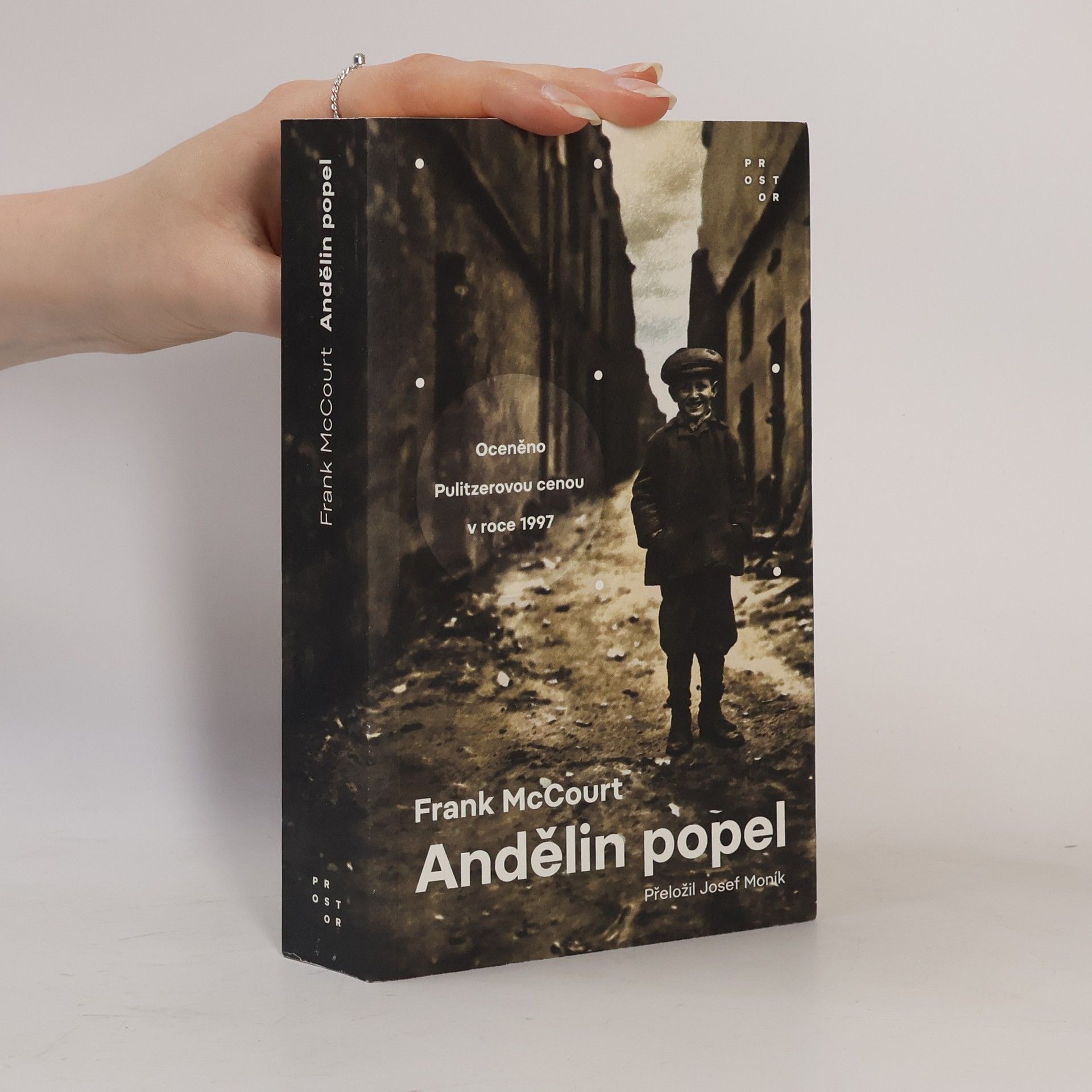 Frank McCourt Andělin popel