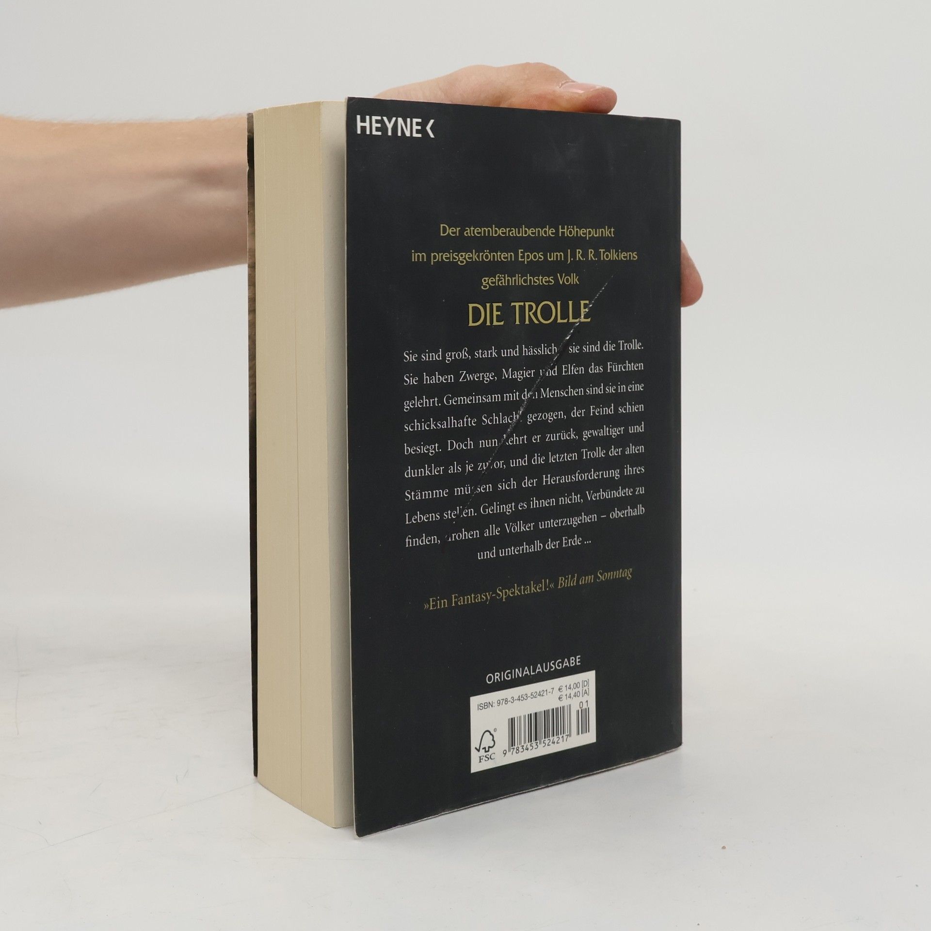 Christoph Hardebusch Der Zorn der Trolle