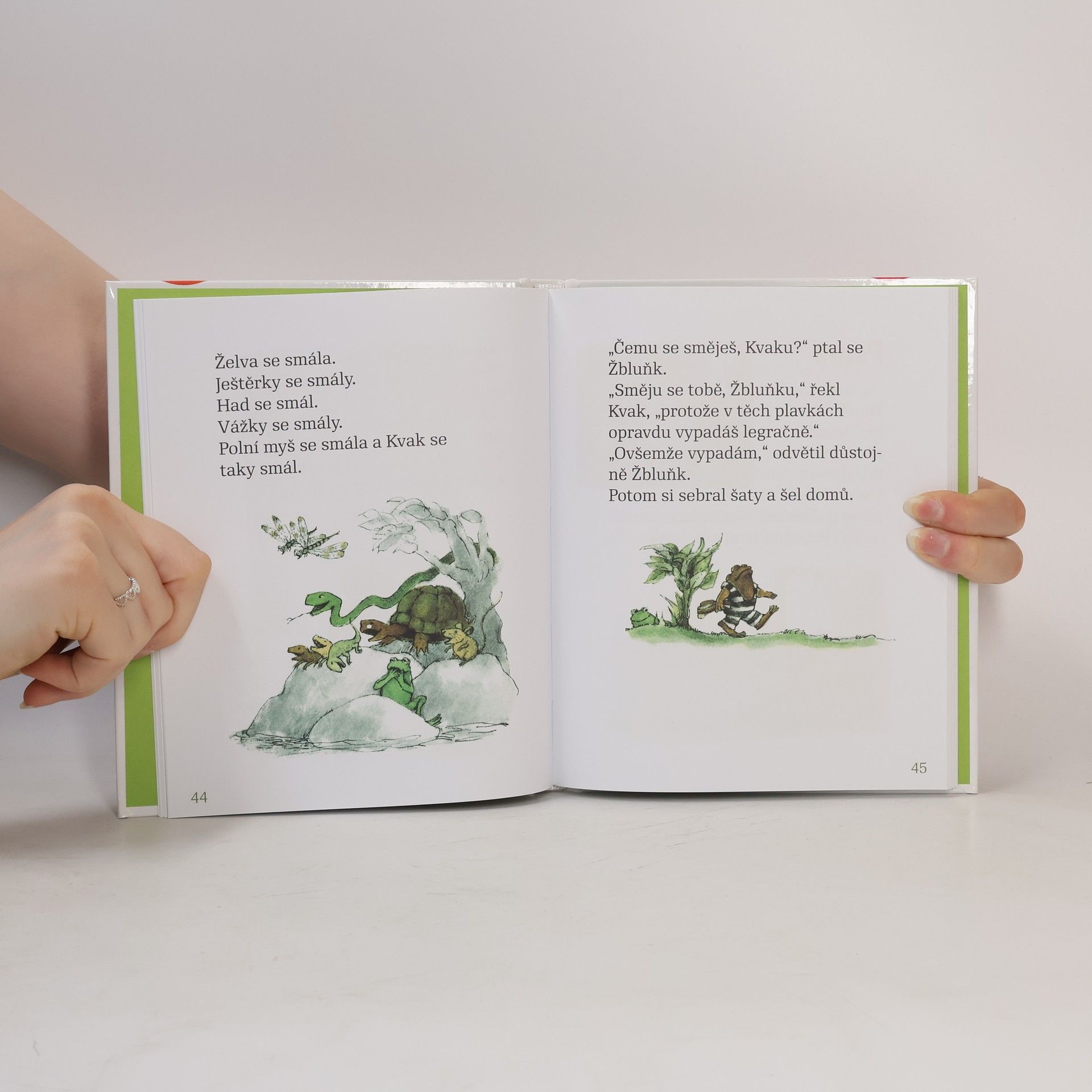 Arnold Lobel Kvak a Žbluňk jsou kamarádi