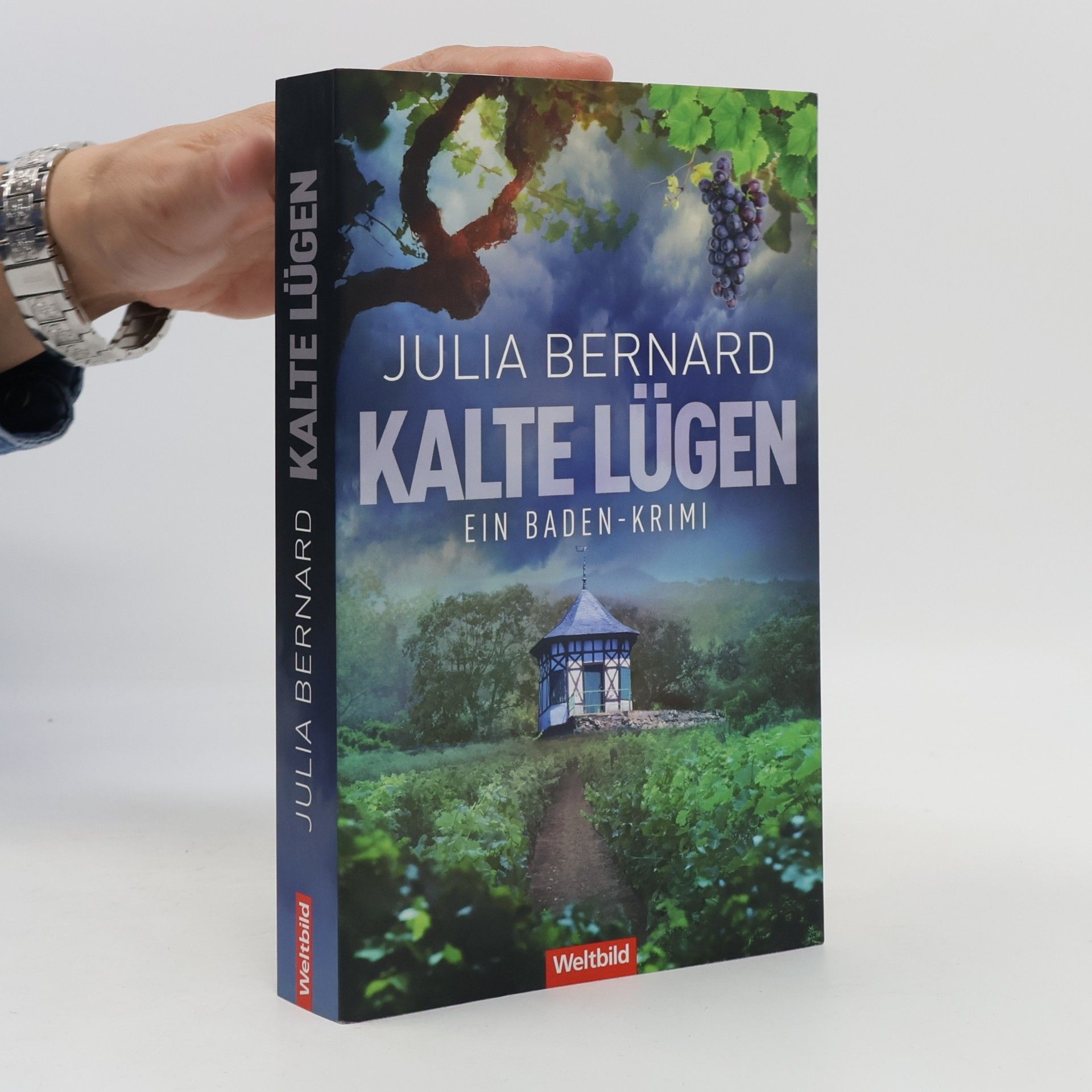 Julia Bernard Kalte Lügen