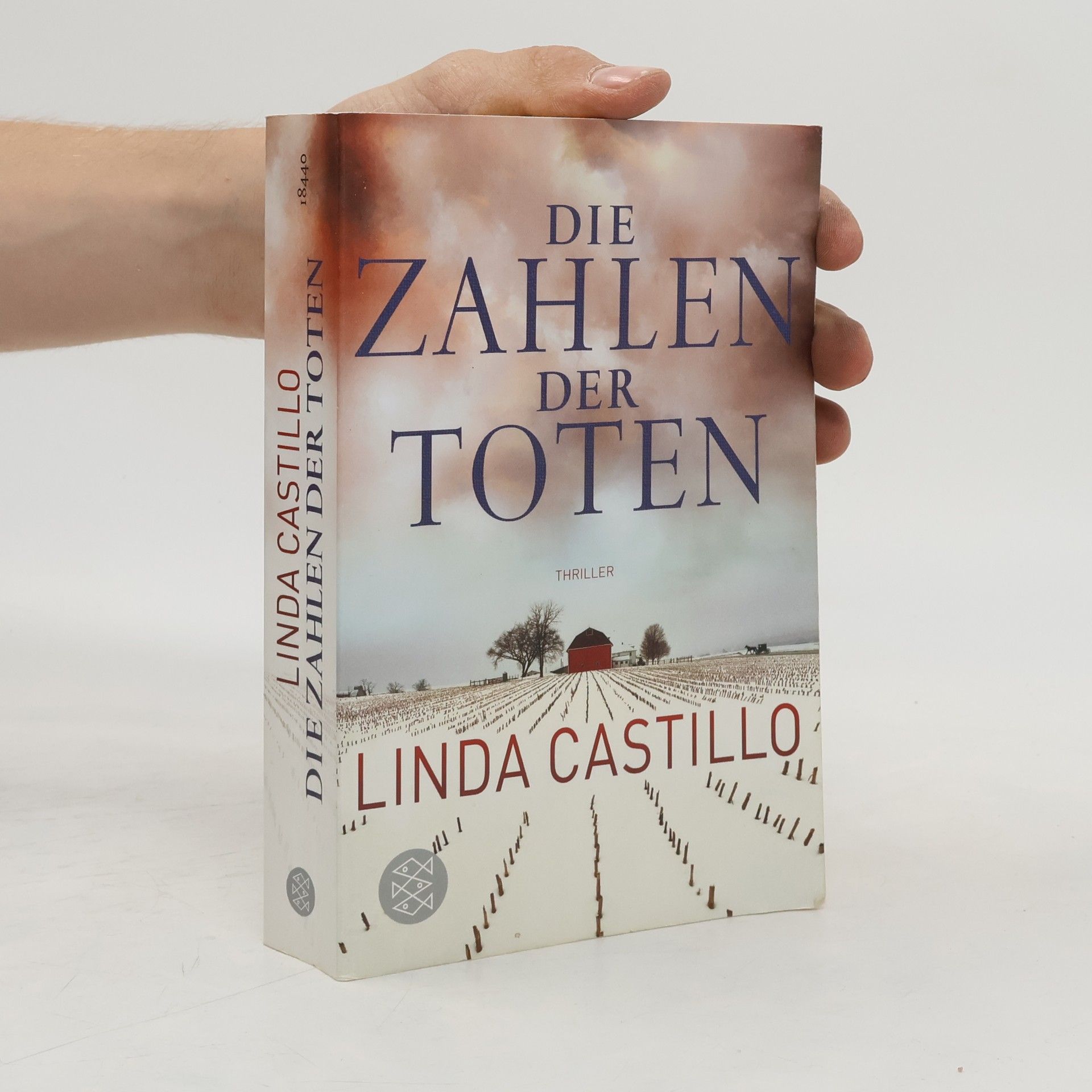 Die Zahlen der Toten