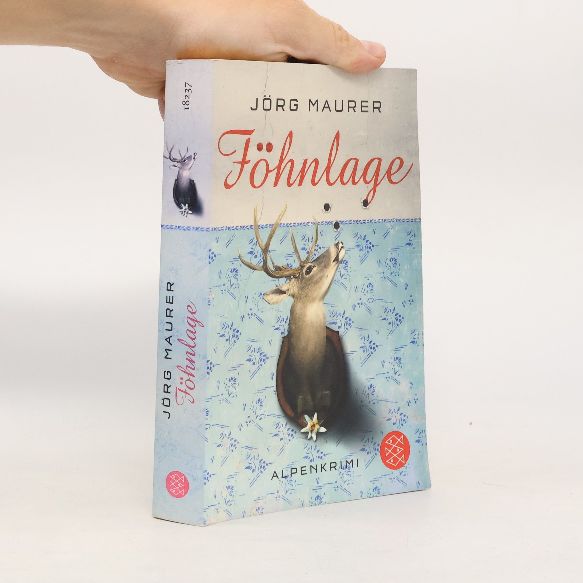 Jörg Maurer Föhnlage