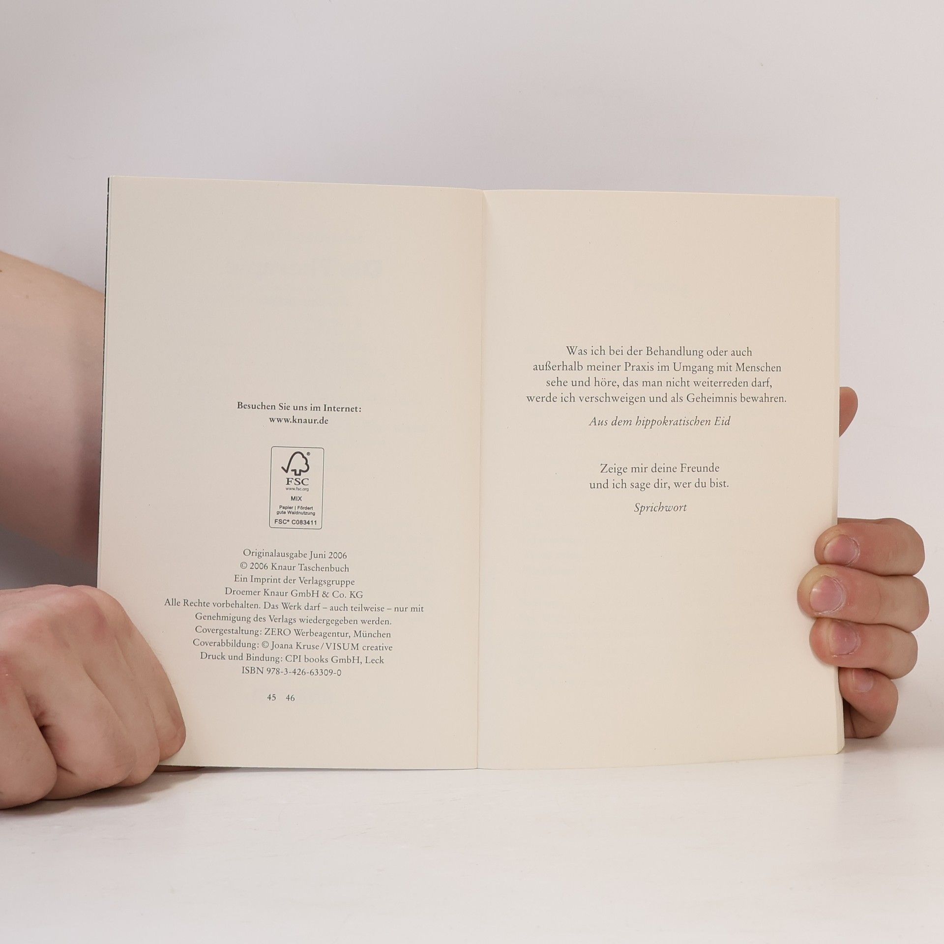 Sebastian Fitzek Die Therapie