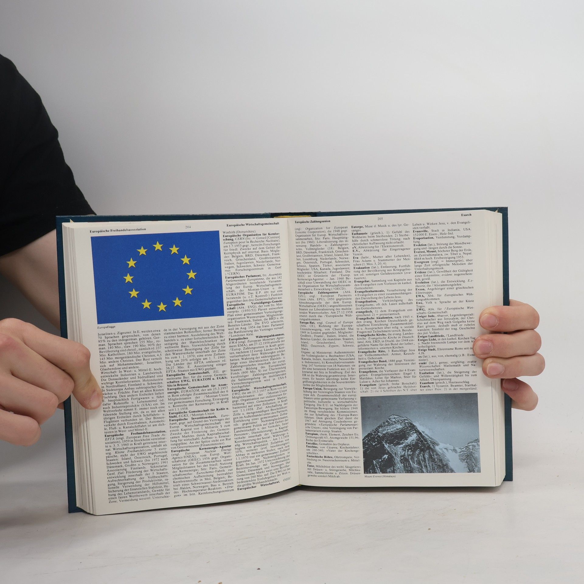 Autorenkollektiv Das große farbige Lexikon von A-Z