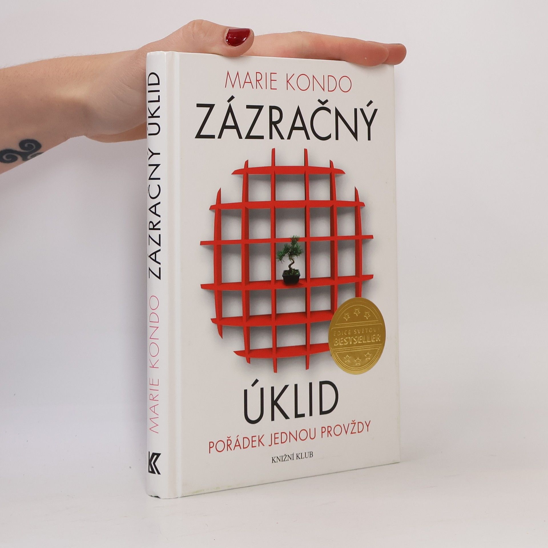 Zázračný úklid
