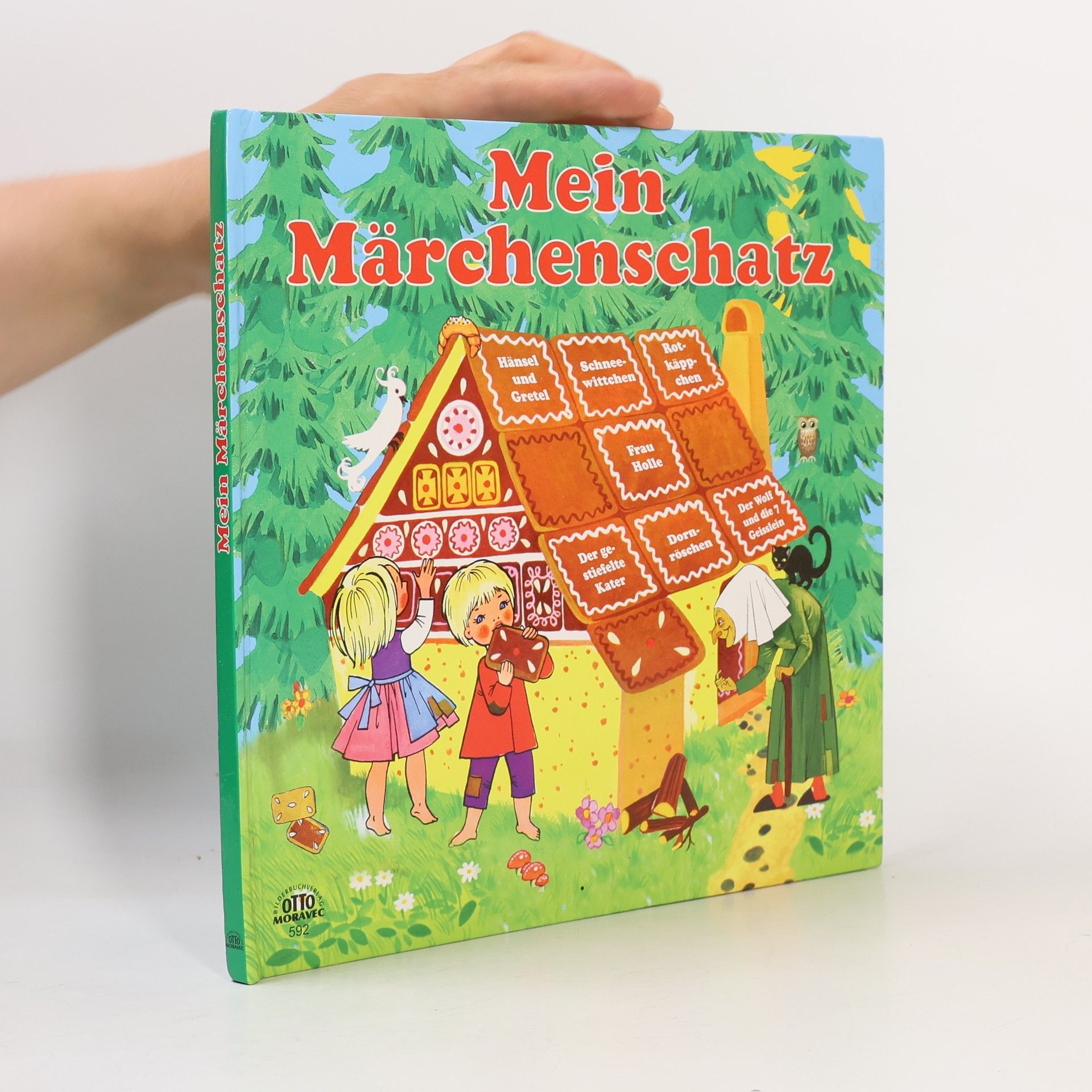 Autores varios Mein Märchenschatz