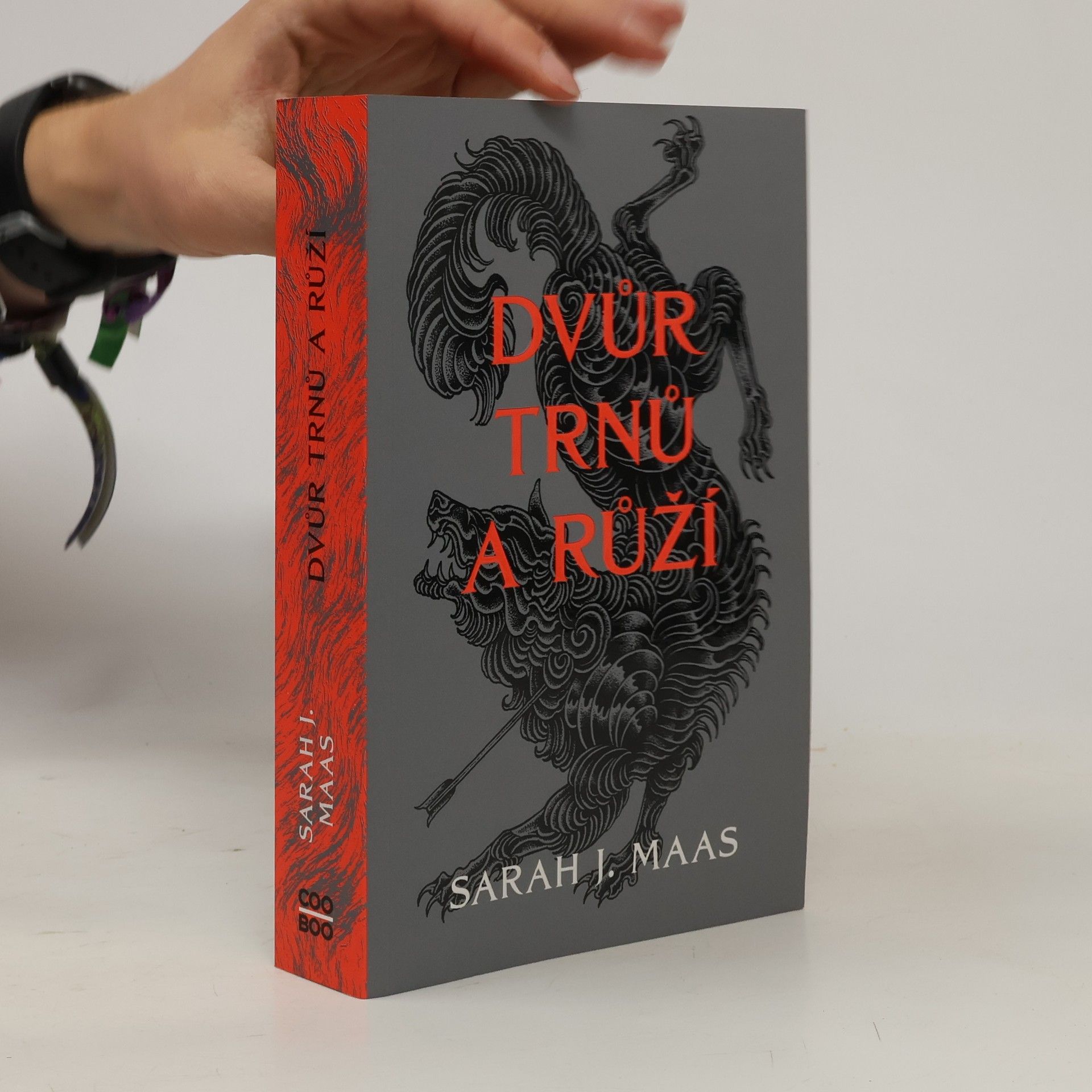 Sarah J. Maas Dvůr trnů a růží