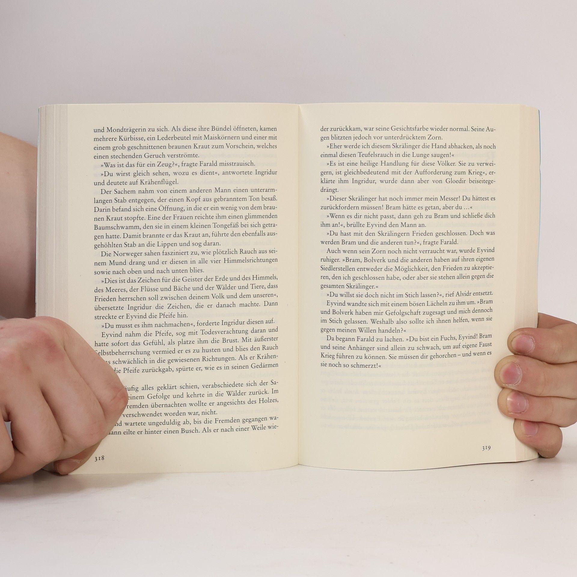 Iny Lorentz Die Saga von Vinland