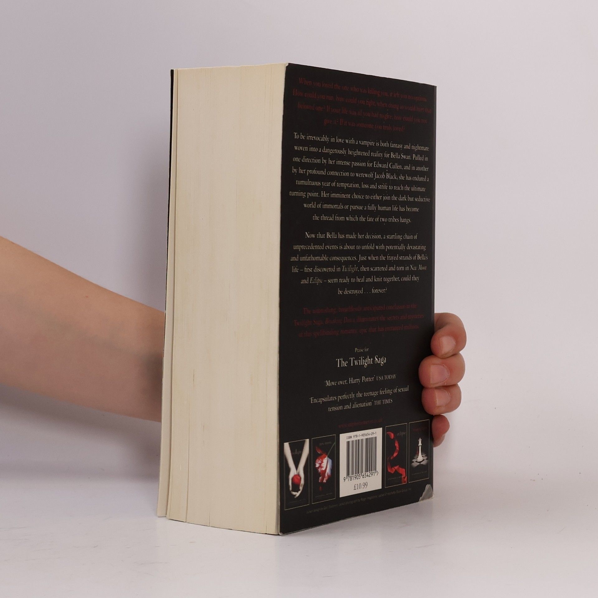 Stephenie Meyer Breaking Dawn