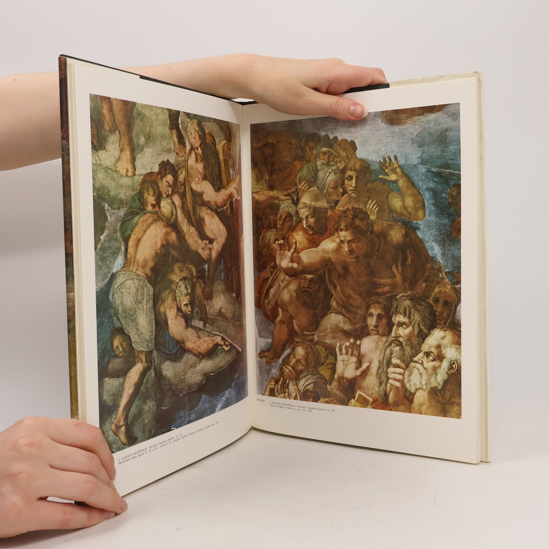Ettore Camesasca L'opera pittorica completa di Michelangelo