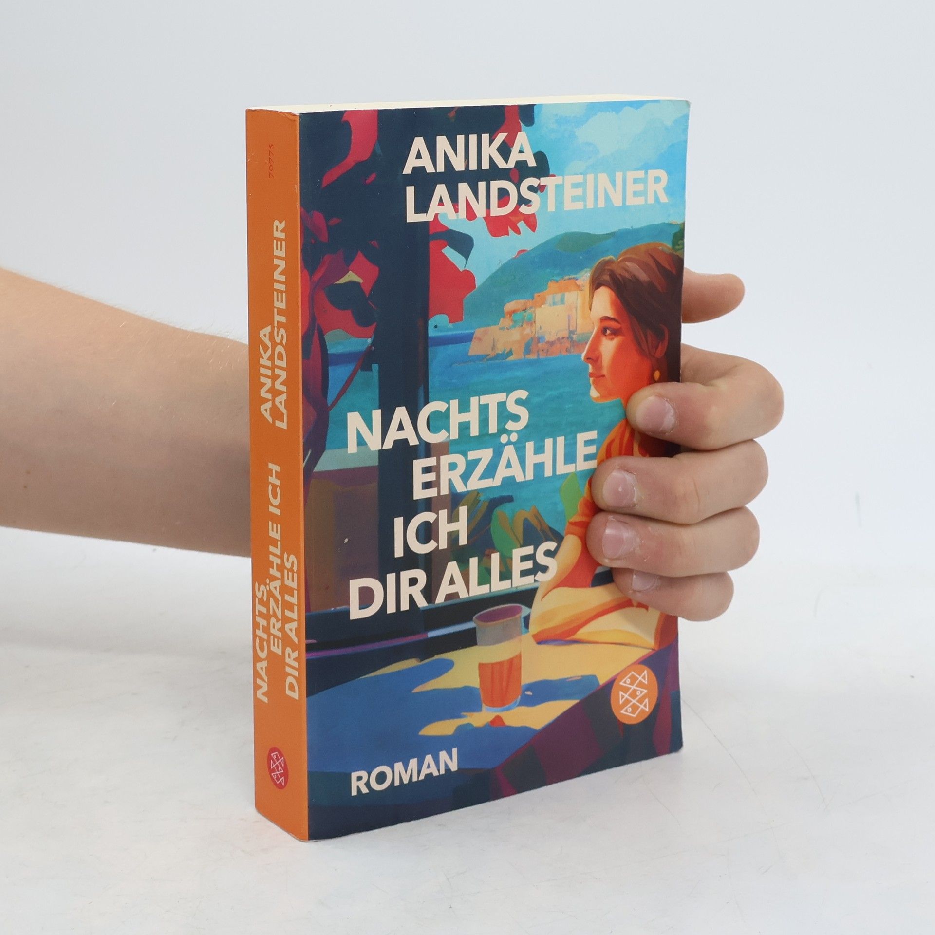 Anika Landsteiner Nachts erzähle ich dir alles