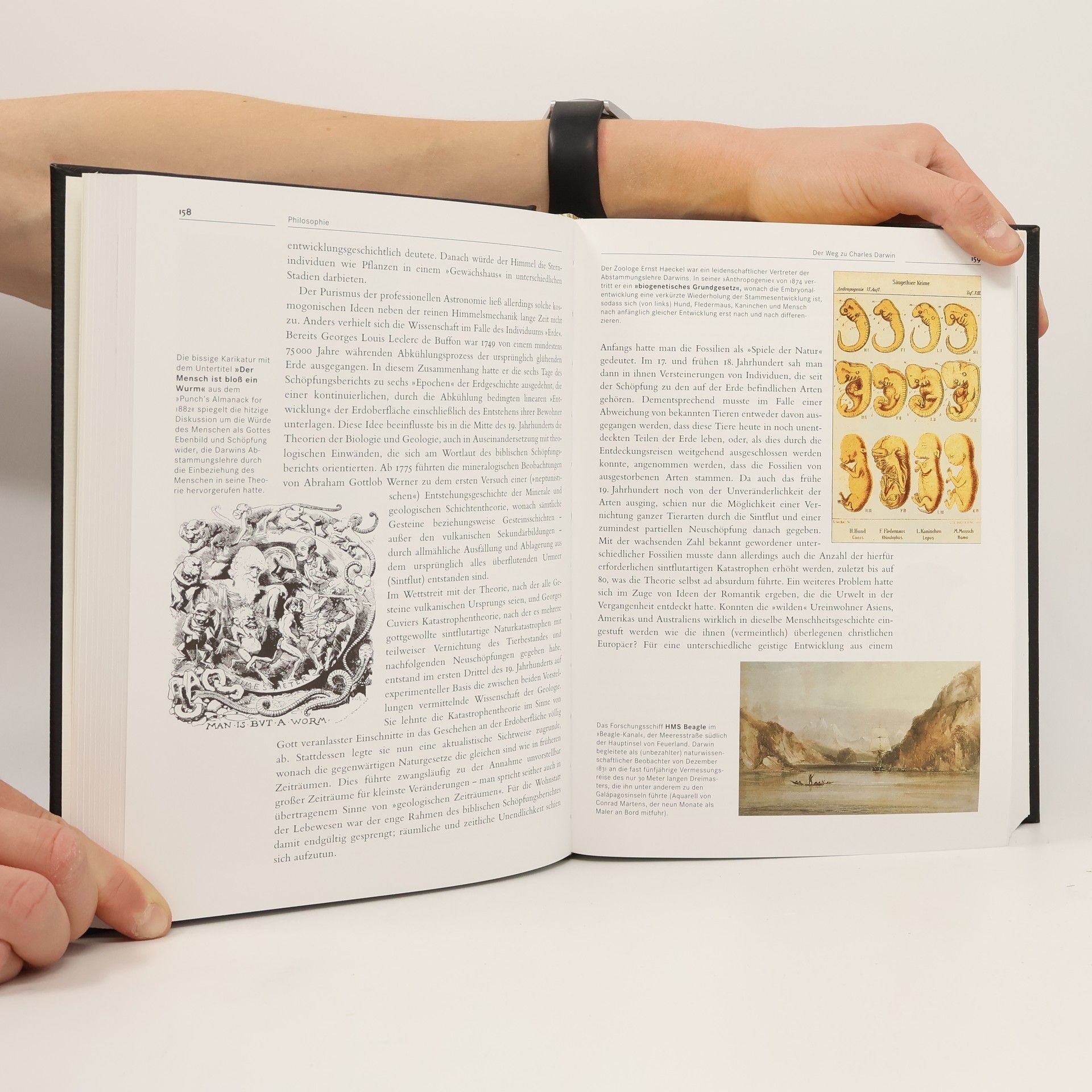 Autorenkollektiv Brockhaus. Kunst und Kultur 5