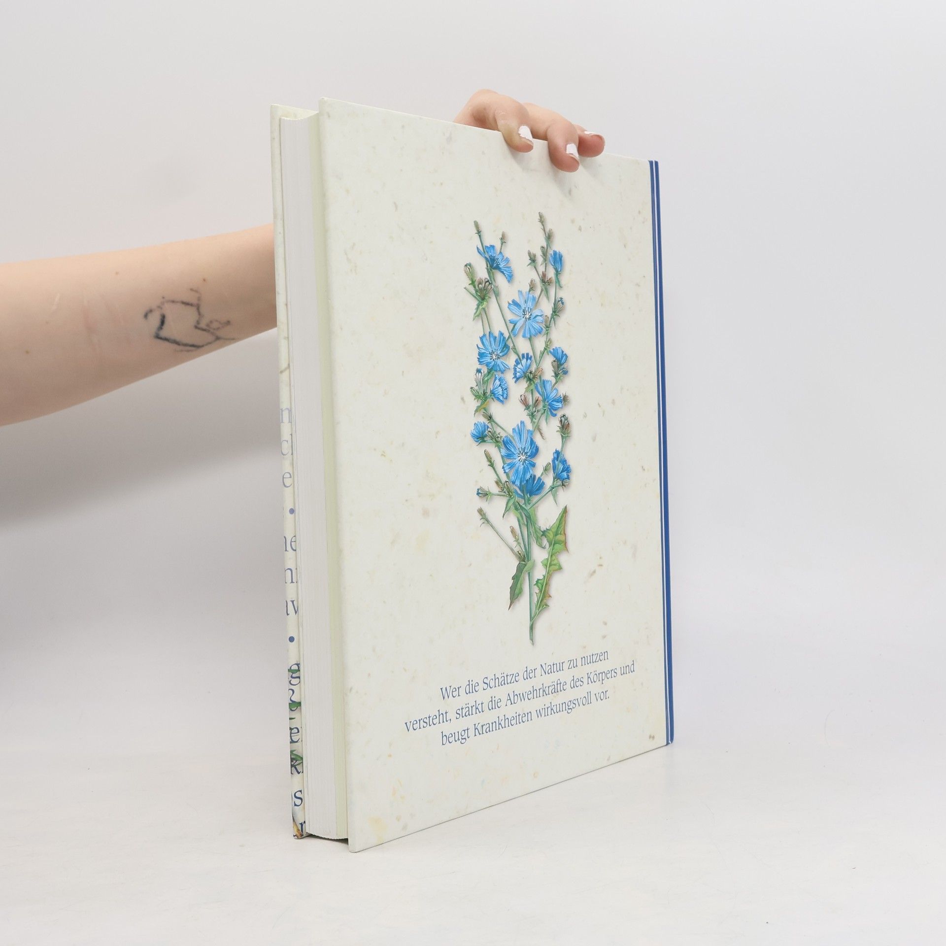 Ulrike Novotny Reader's Digest Heilpflanzen-Buch