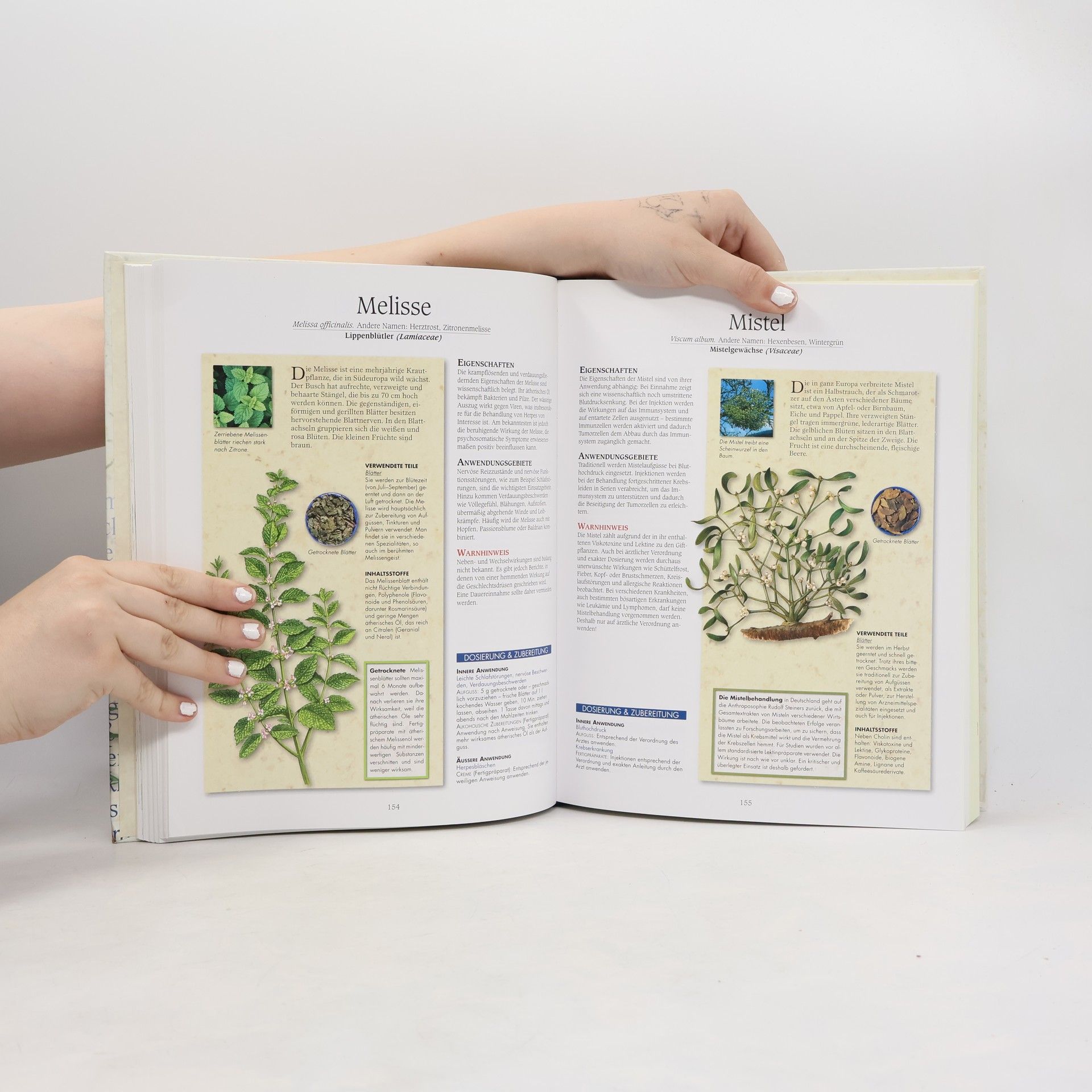 Ulrike Novotny Reader's Digest Heilpflanzen-Buch