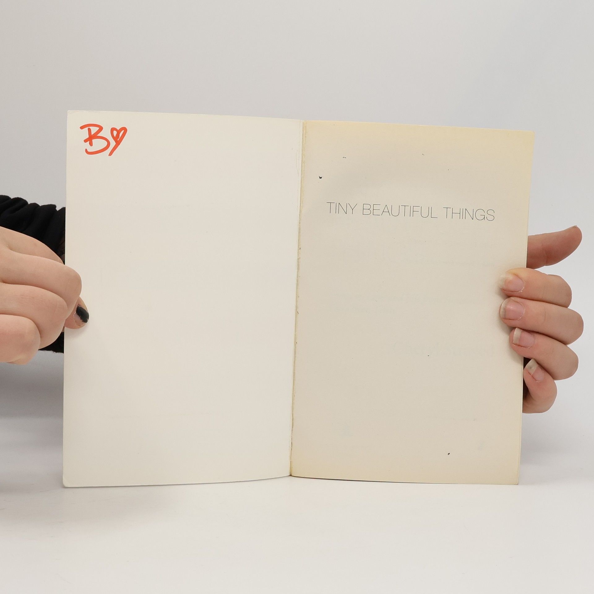 Cheryl Strayed Tiny Beautiful Things