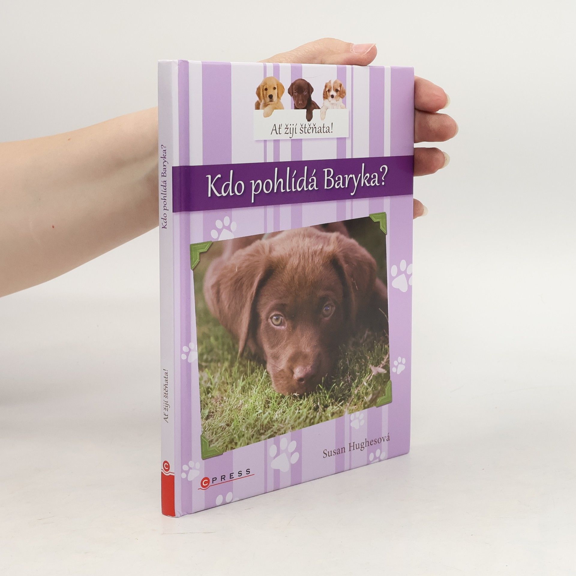 Susan Hughes Kdo pohlídá Baryka?