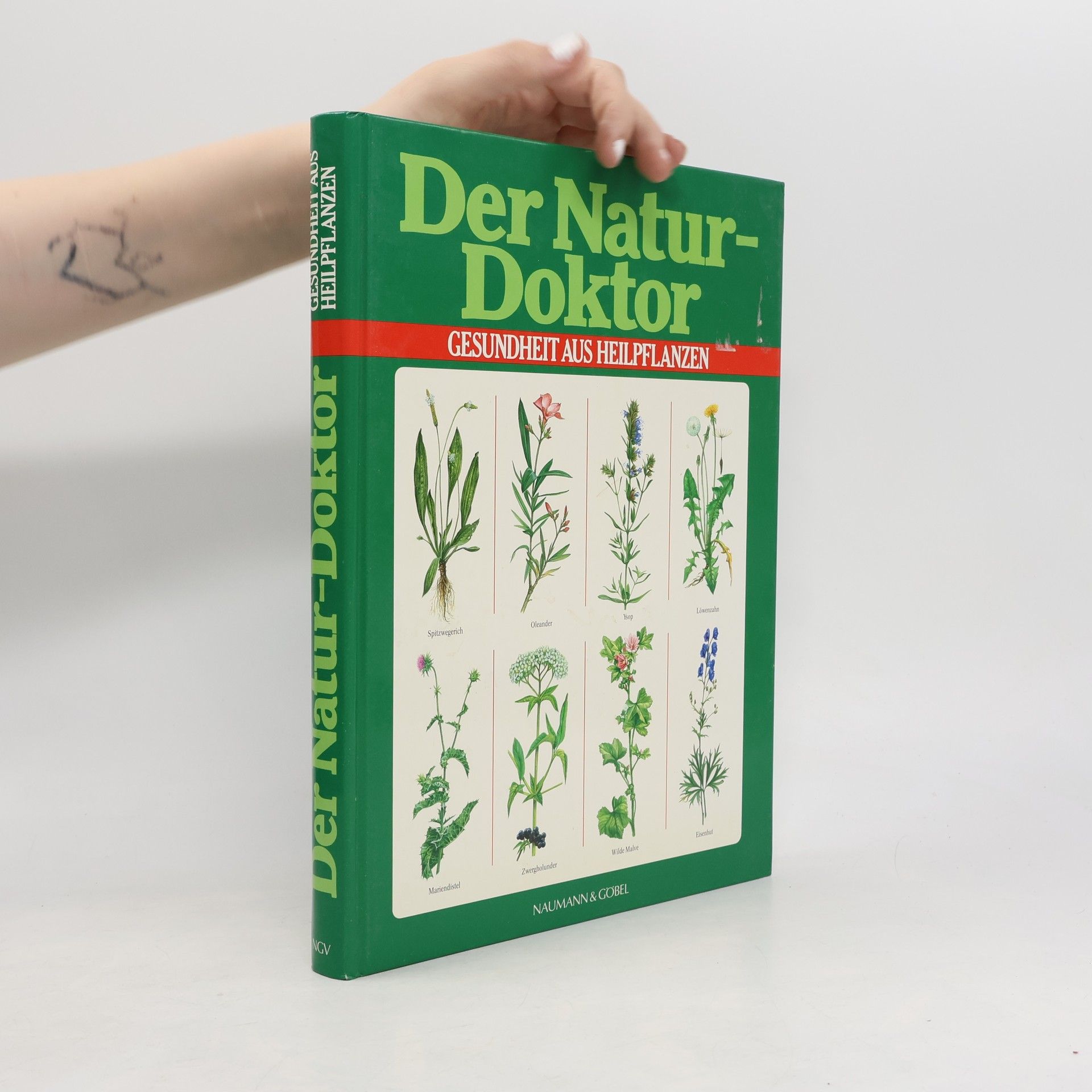 Jürgen Saupe Der Naturdoktor
