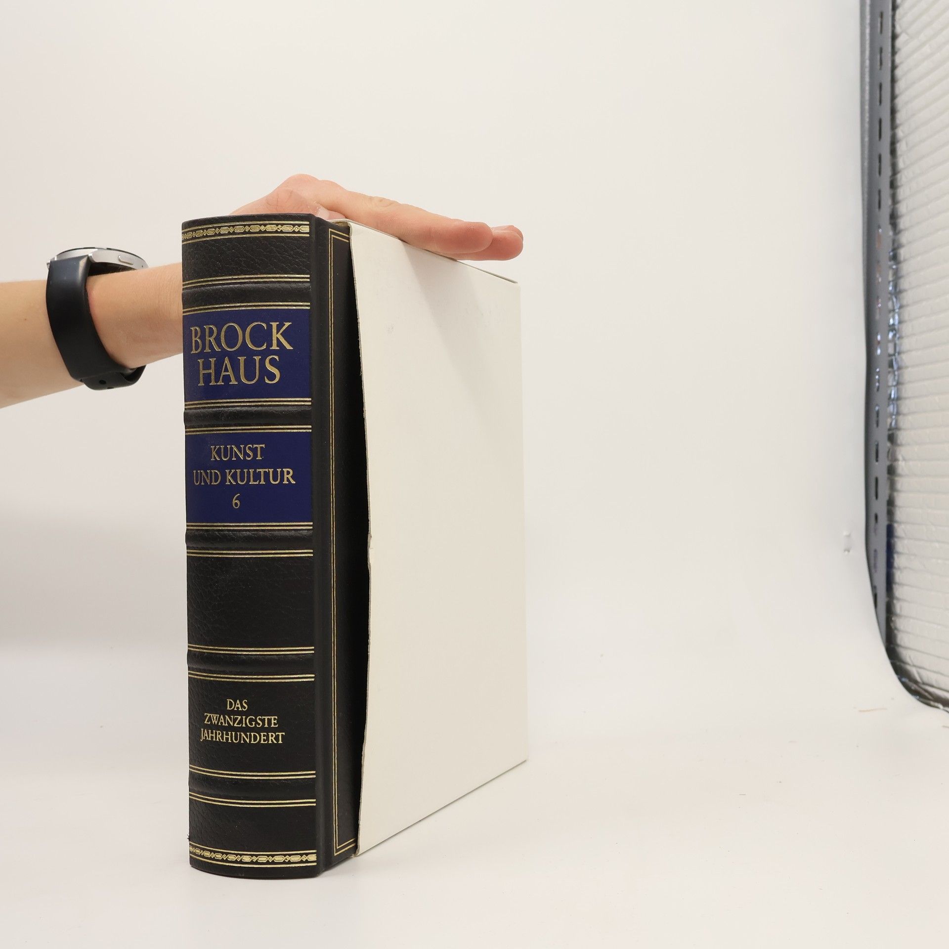 Autorenkollektiv Brockhaus Kunst und Kultur 6