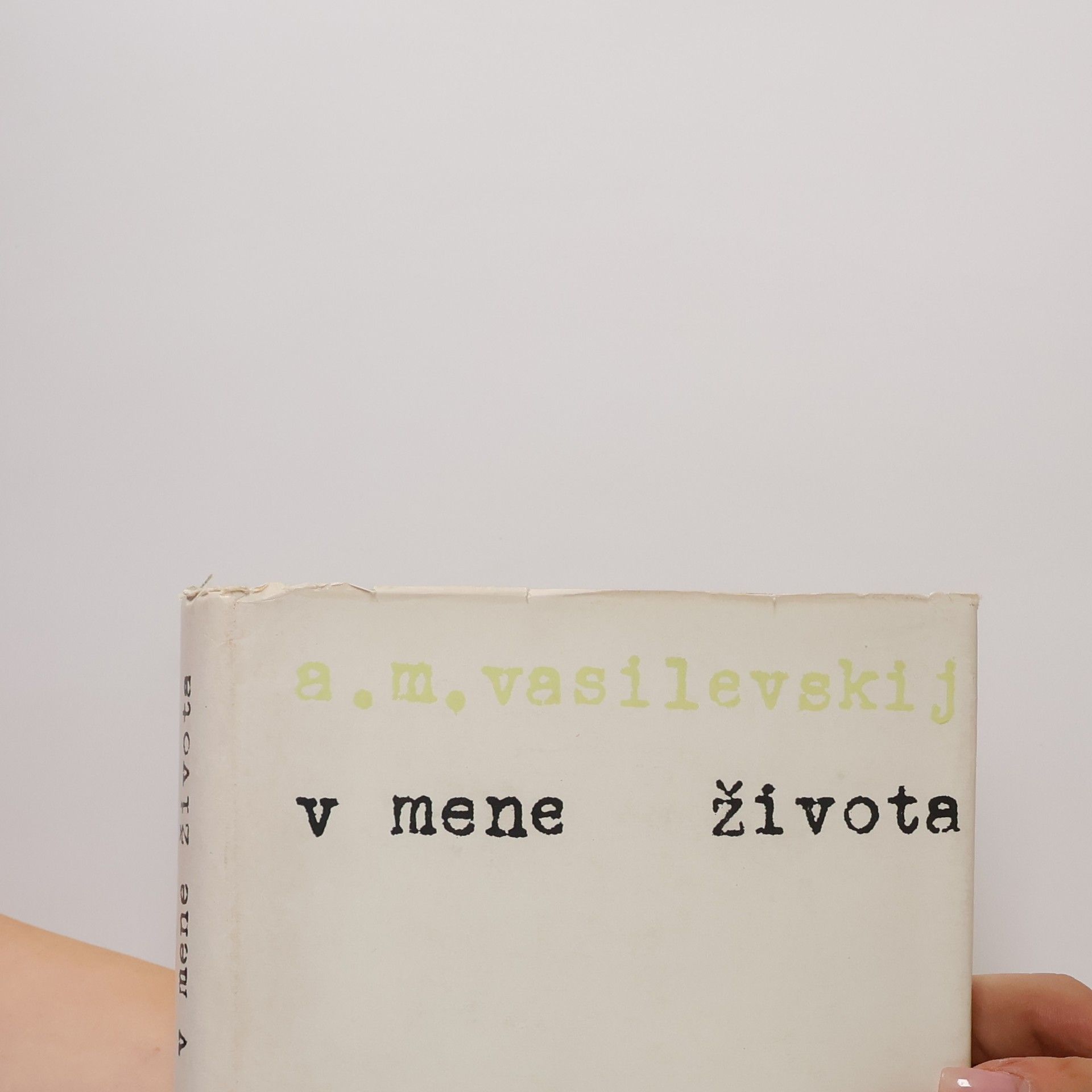Aleksandr Michajlovič Vasilevskij V mene života