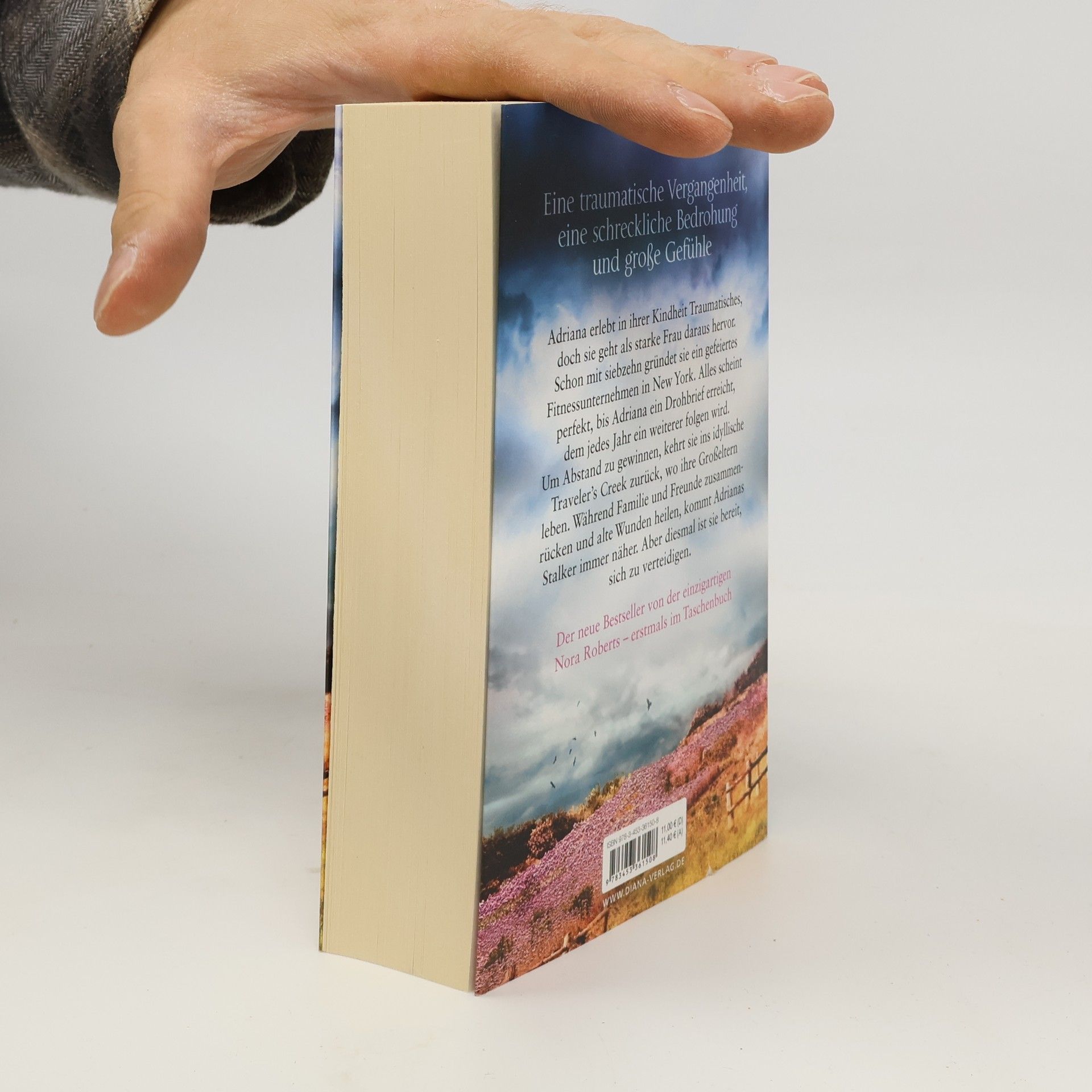 Nora Roberts Vermächtnis der Dunkelheit
