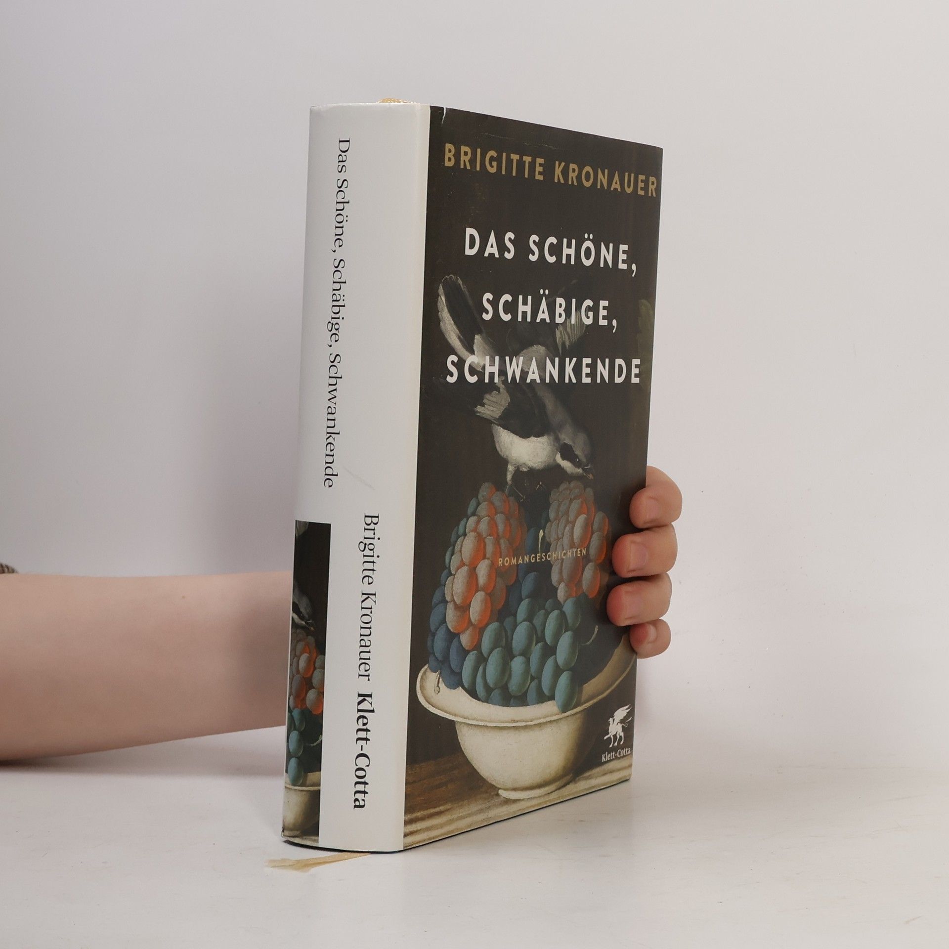Brigitte Kronauer Das Schöne, Schäbige, Schwankende