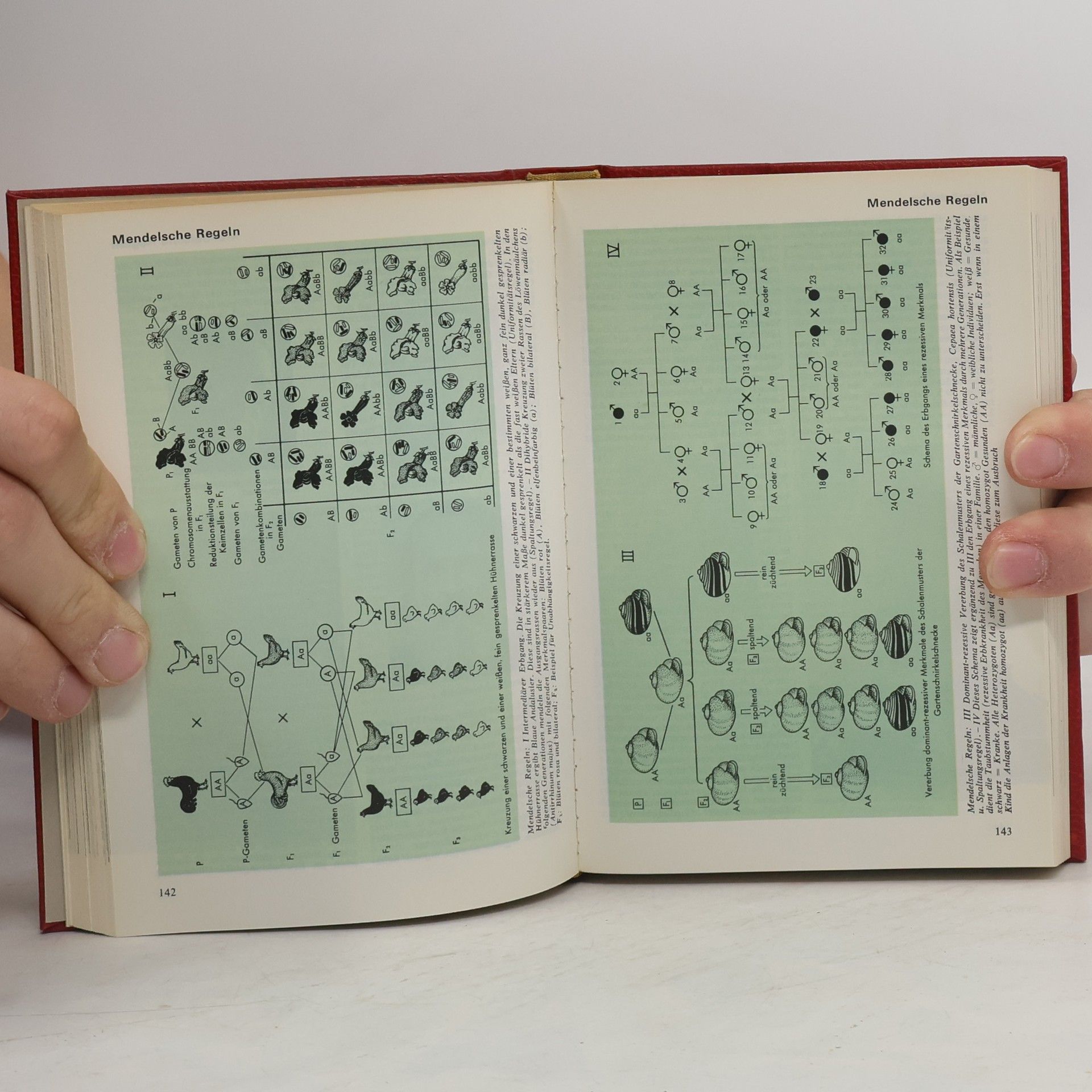 Autorenkollektiv Das moderne Lexikon 12. Mark-Musg