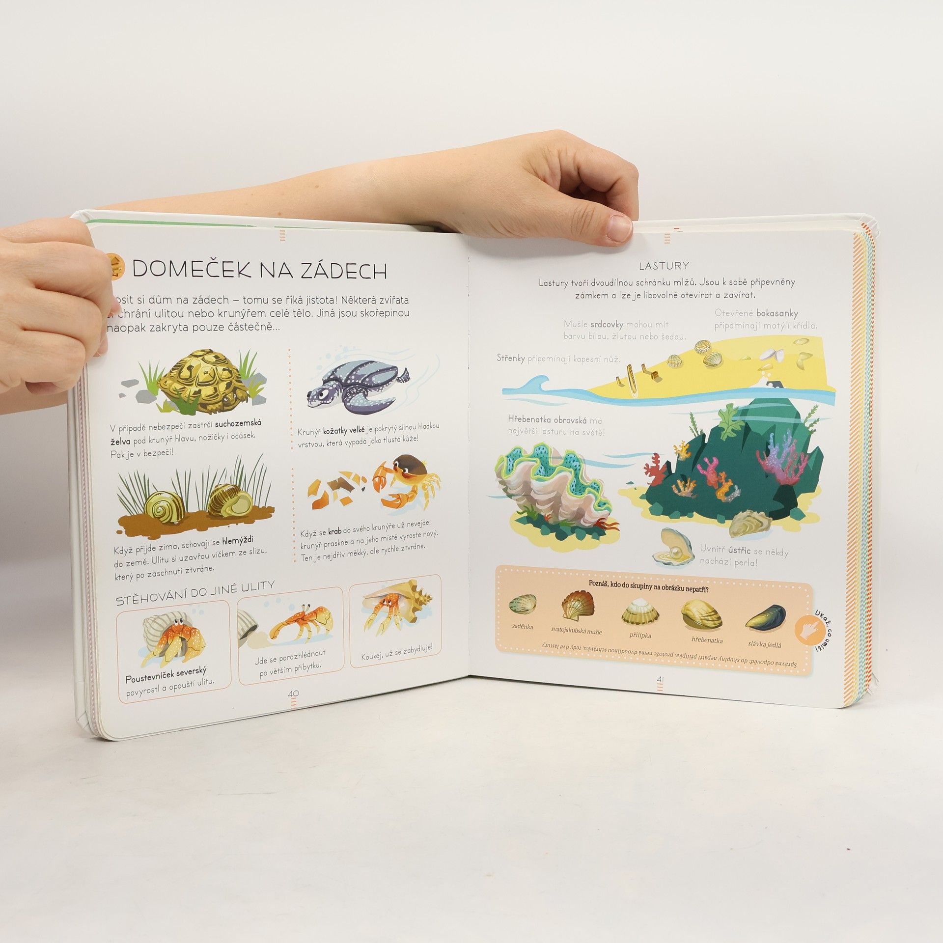 Sylvie Bézuel Zvířata: Encyklopedie Larousse