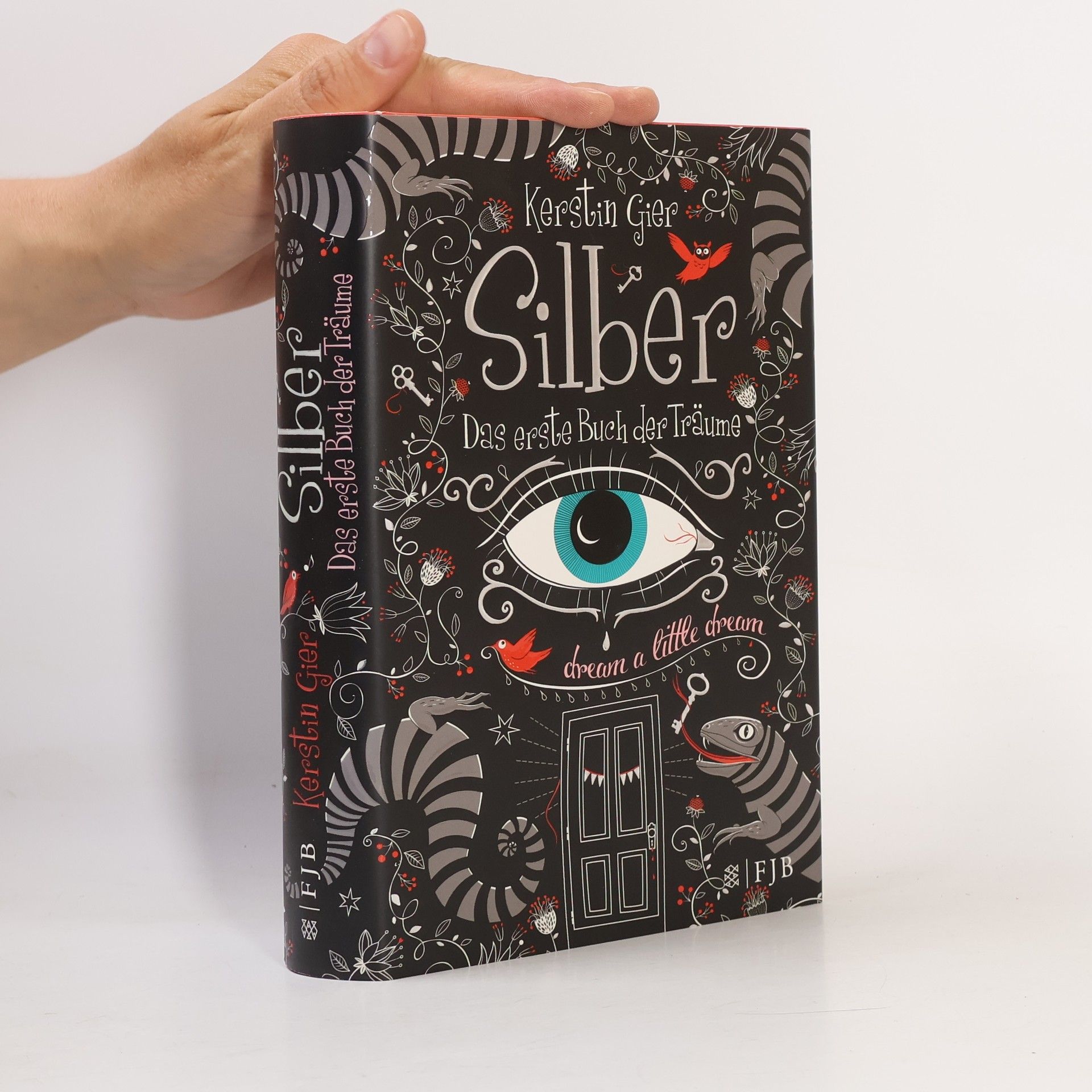 Kerstin Gier Silber. Das erste Buch der Träume