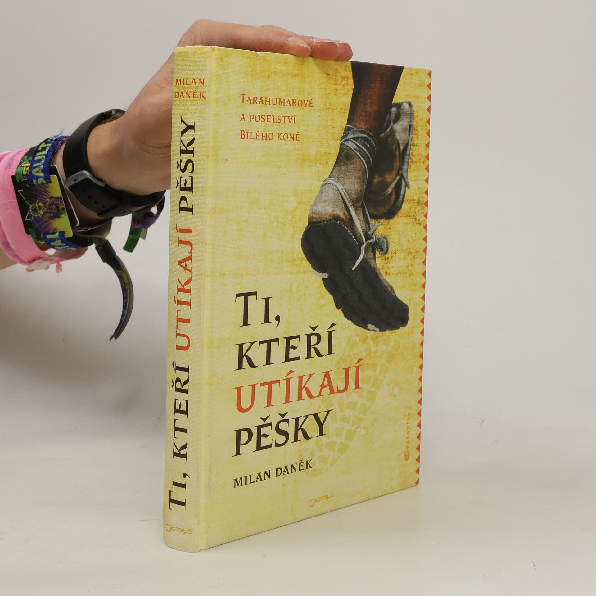 Milan Daněk Ti, kteří utíkají pěšky