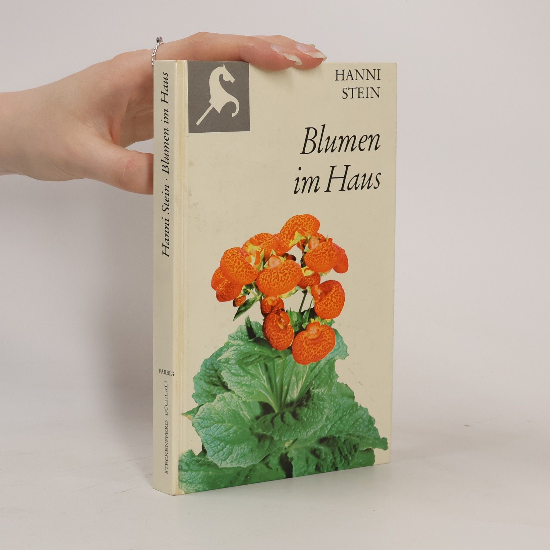 Hanni Stein Blumen im Haus