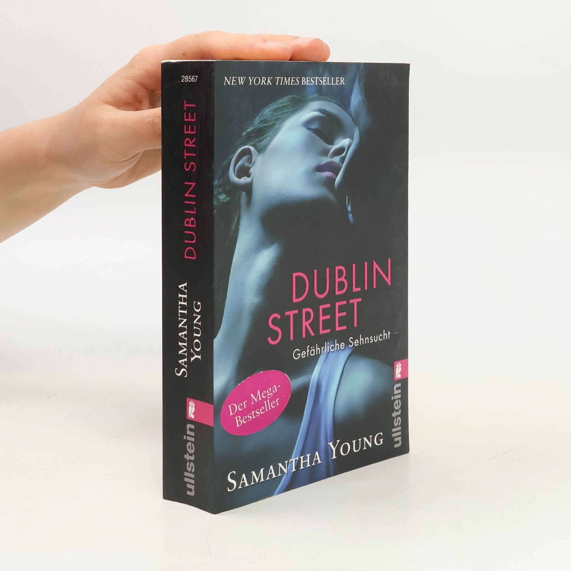 Samantha Young Dublin Street: Gefährliche Sehnsucht