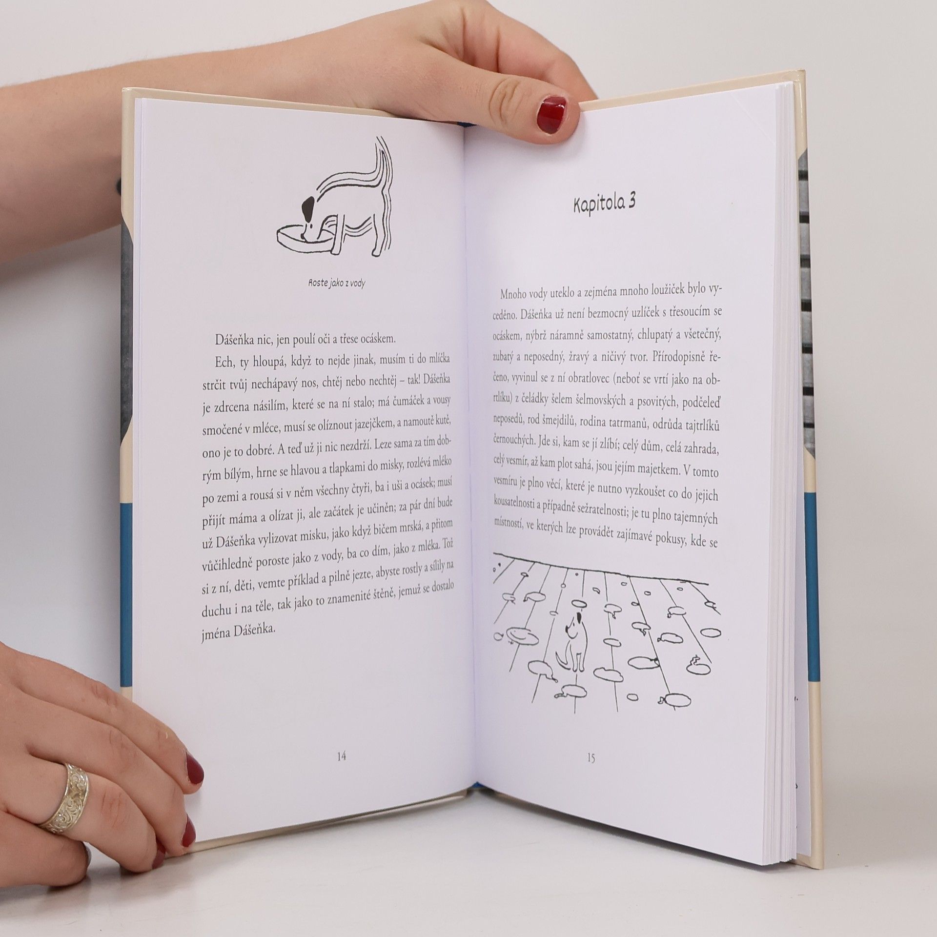 Collectif d'auteurs Dášeňka