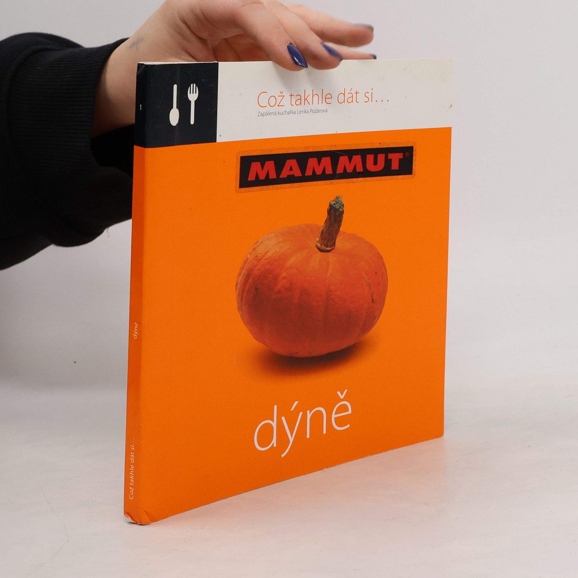 Dýně