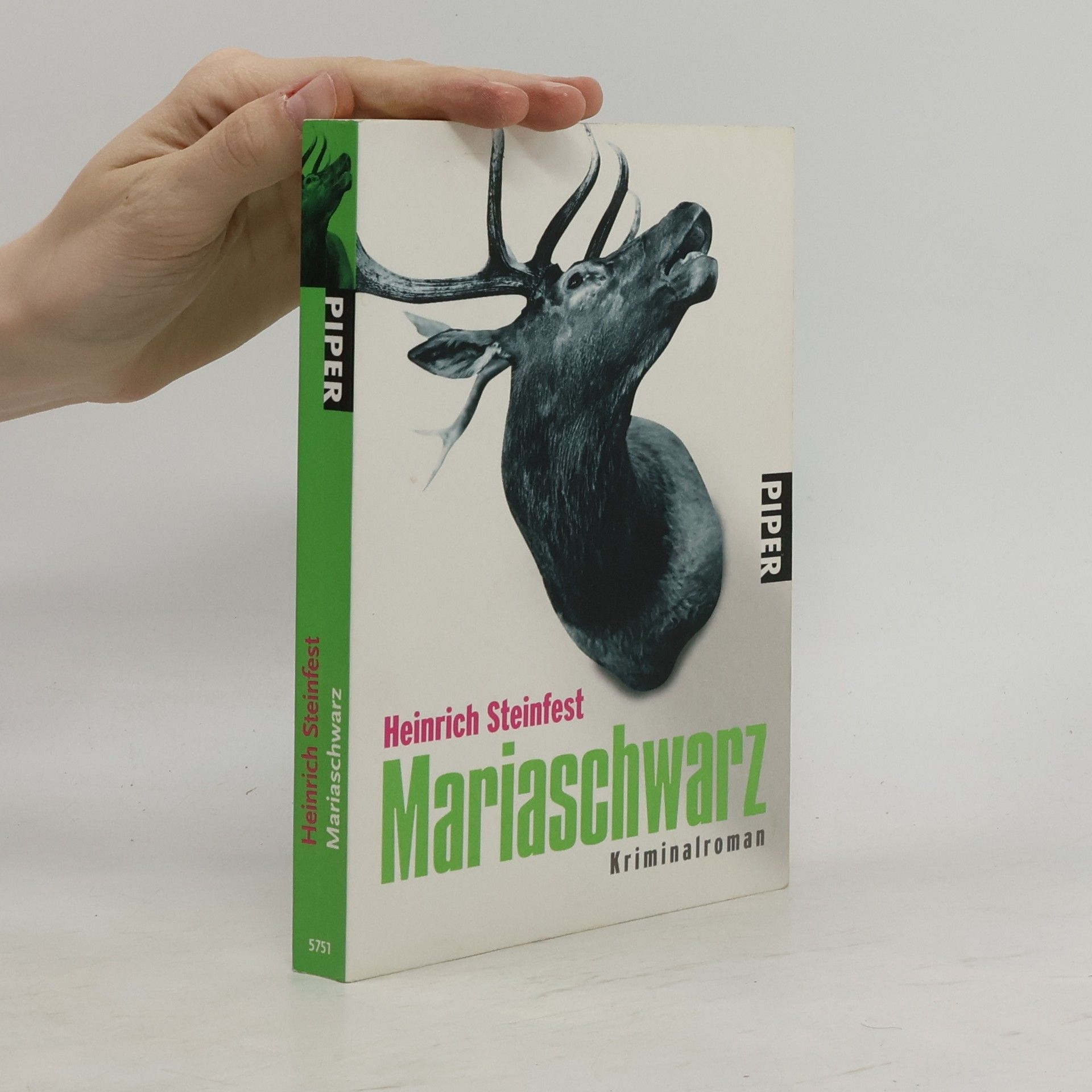 Heinrich Steinfest Mariaschwarz