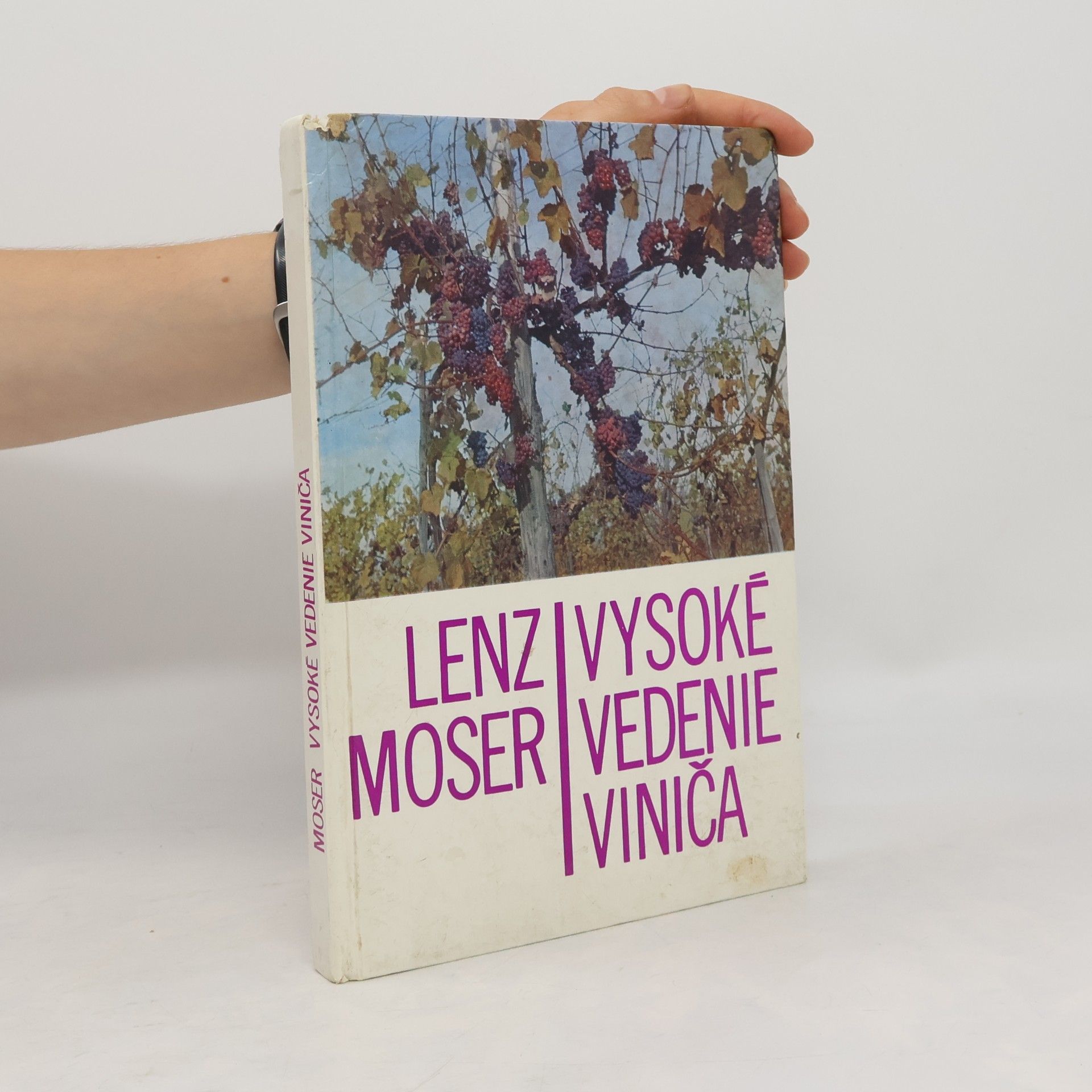 Lens Moser Vysoké vedenie viniča