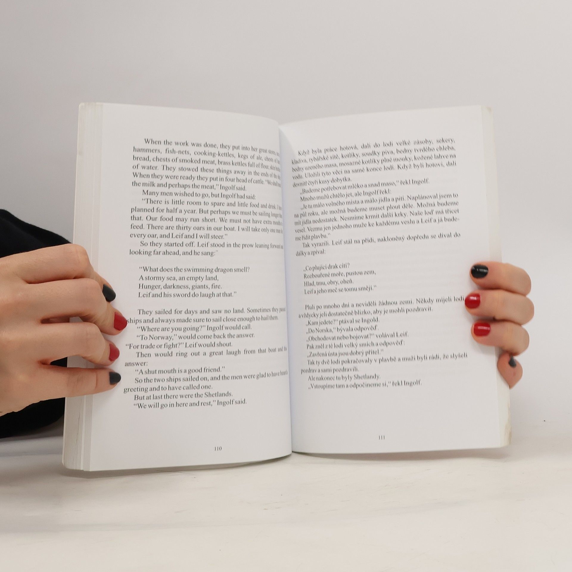 Jennie Hall Viking tales: Vikinské pověsti