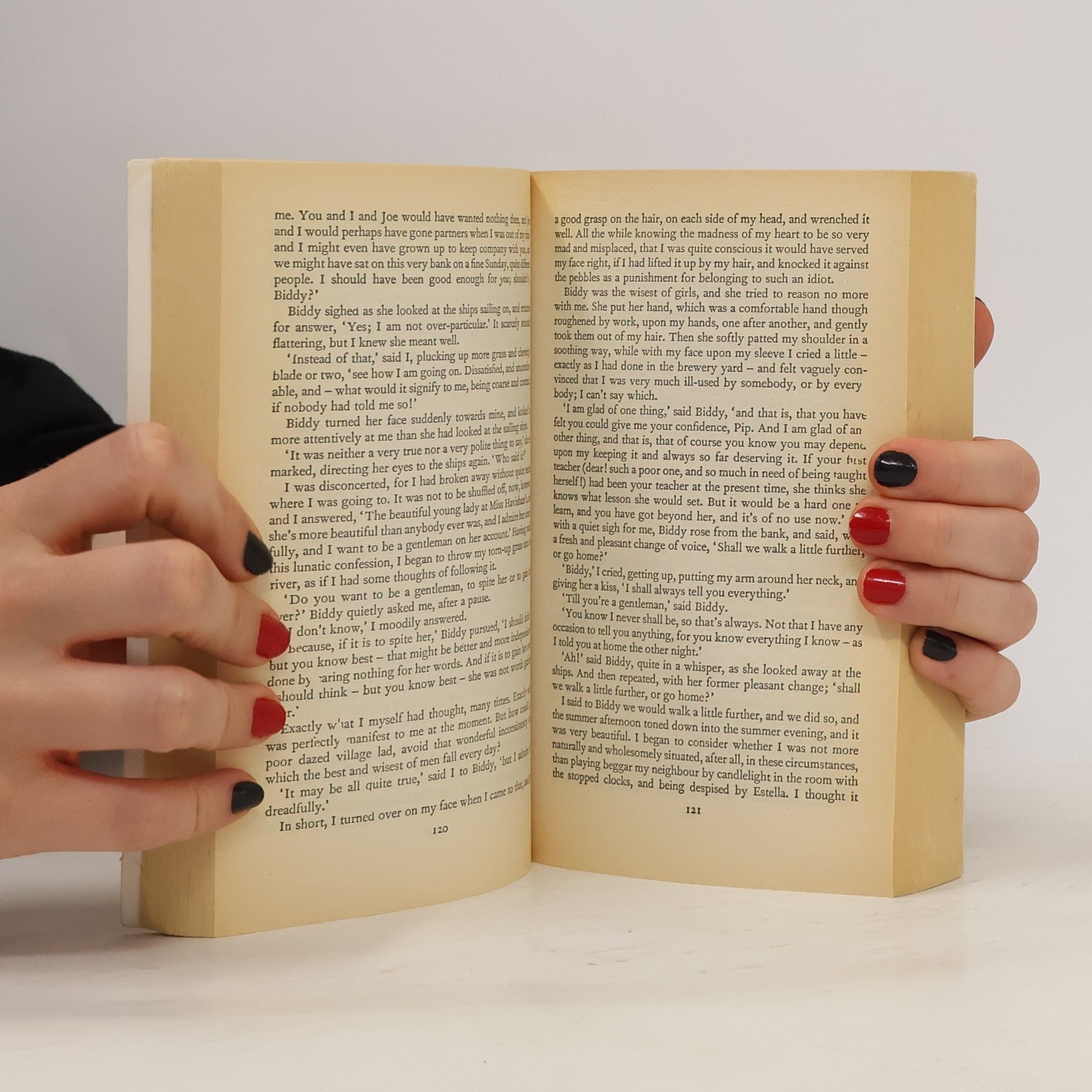 Charles Dickens Great Expectations