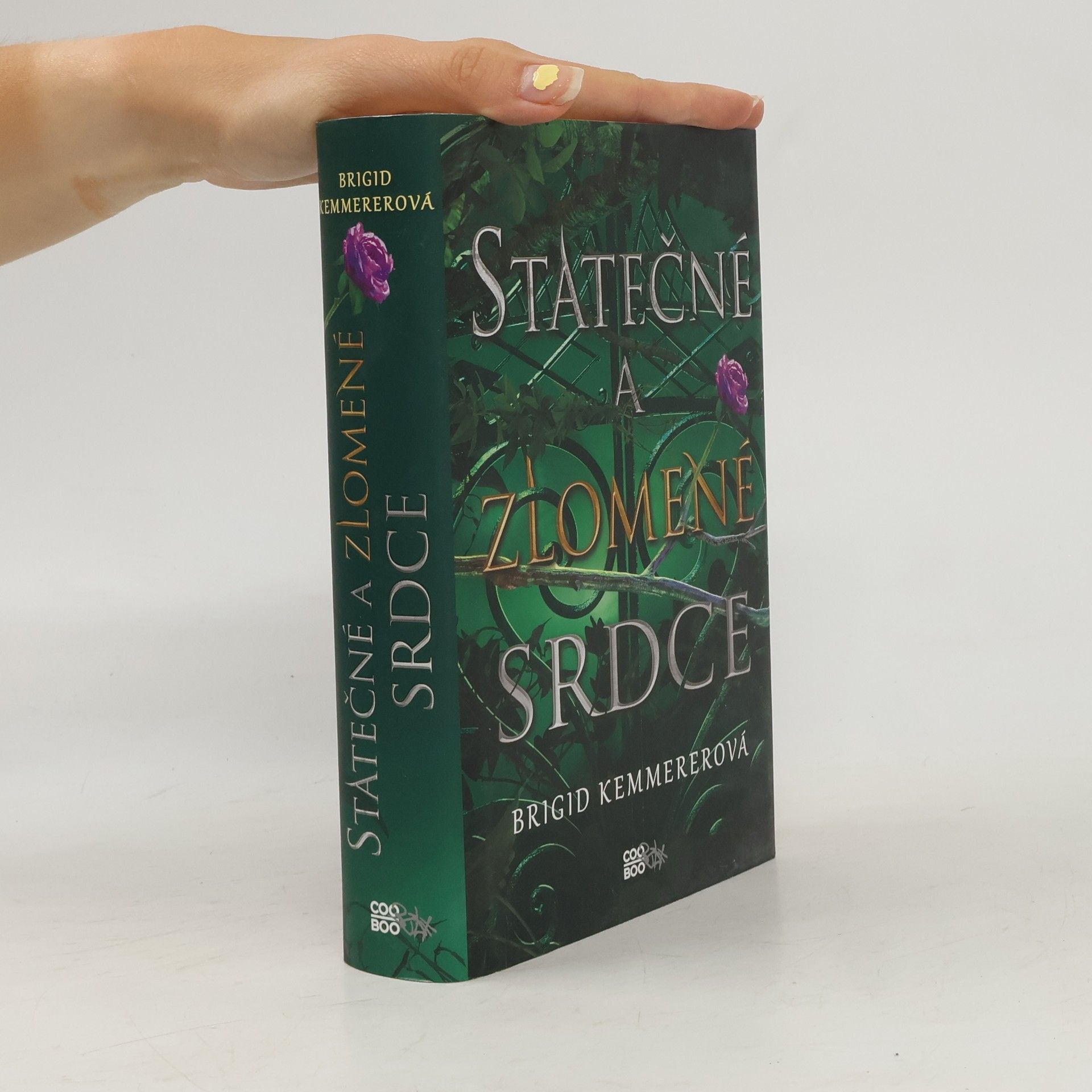 Brigid Kemmerer Statečné a zlomené srdce