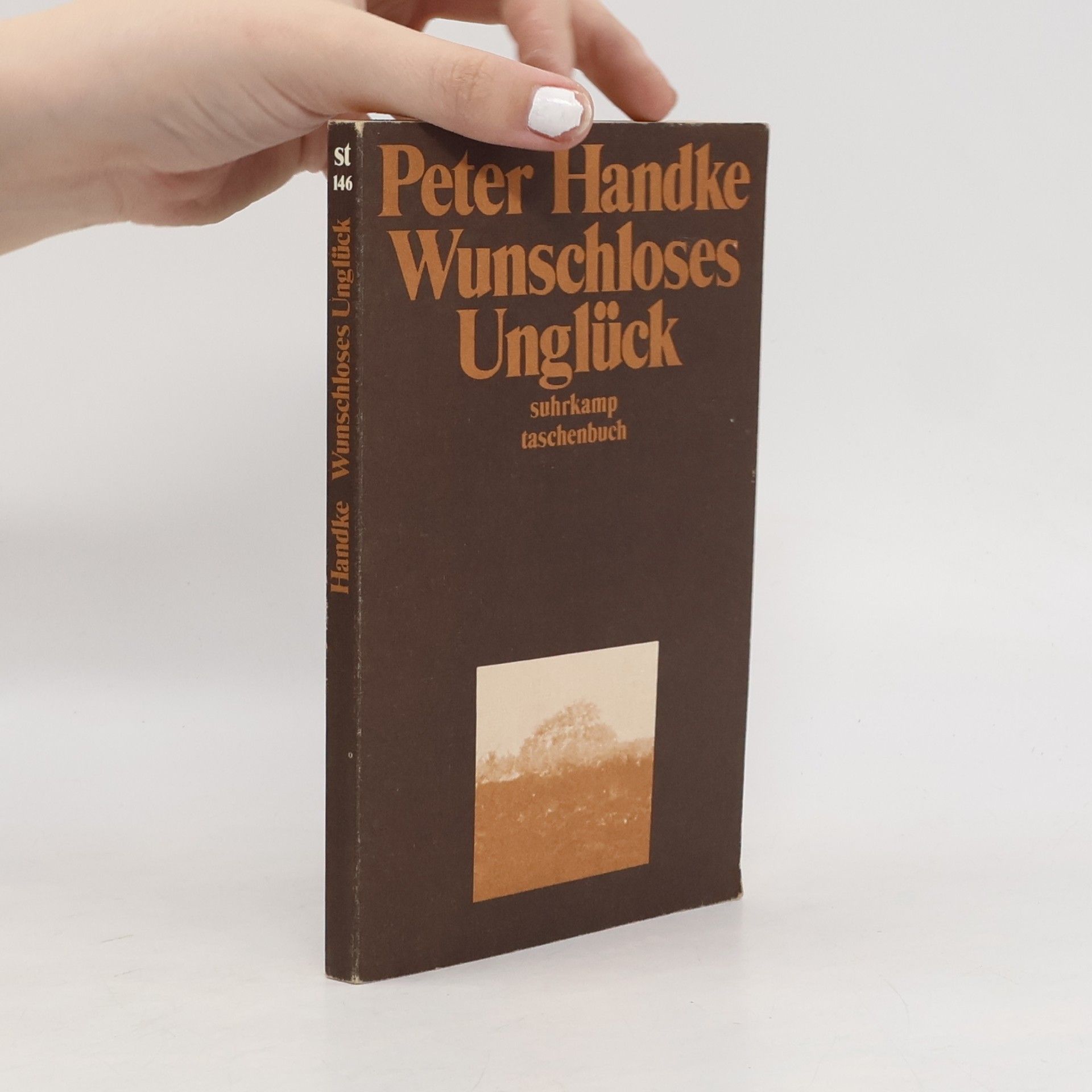 Peter Handke Wunschloses Unglück: Erzählung
