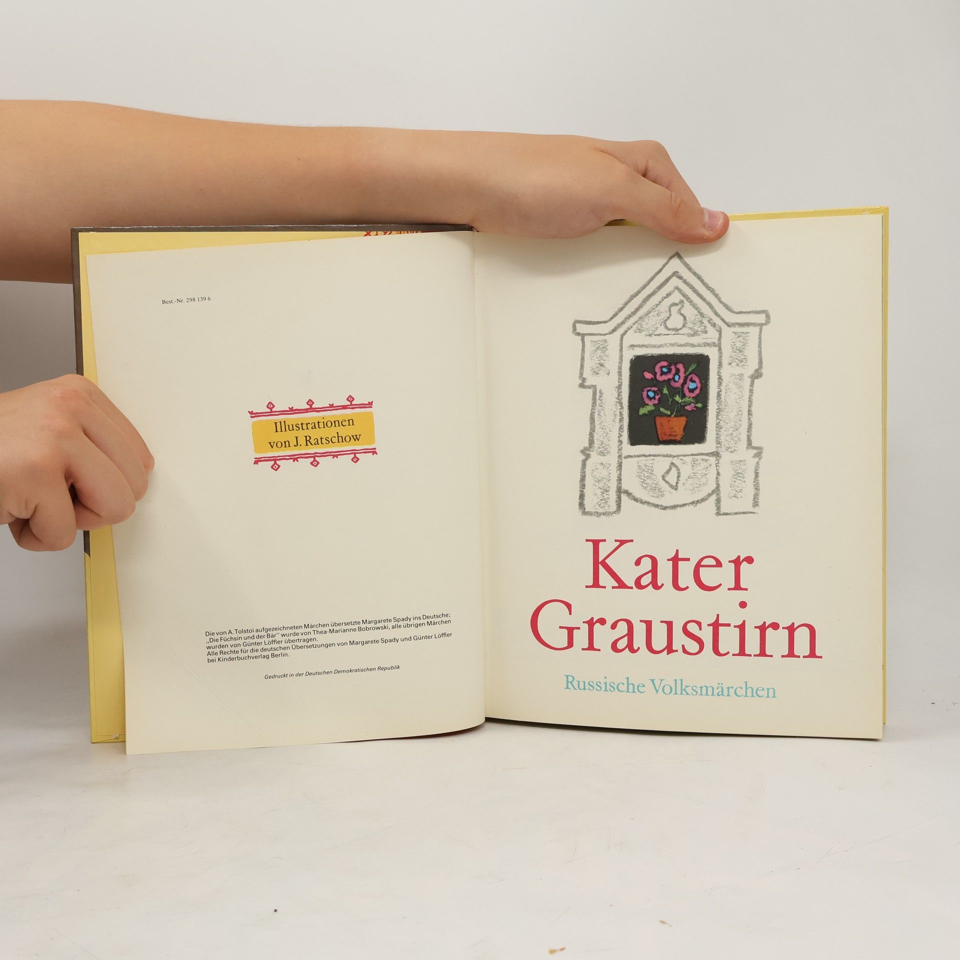 Autorenkollektiv Kater Graustirn