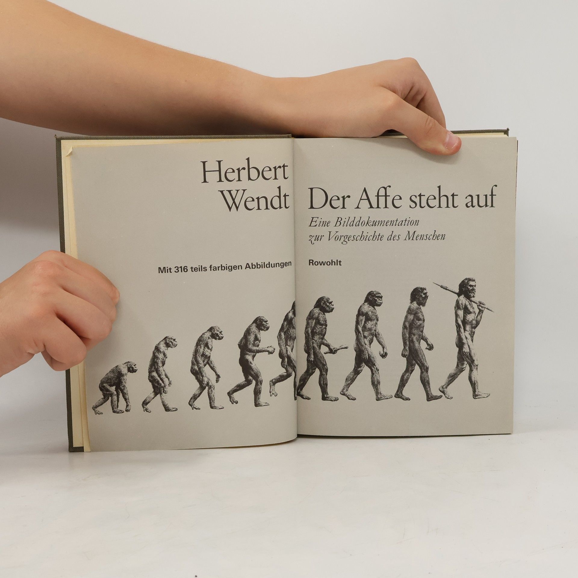 Herbert Wendt Der Affe steht auf