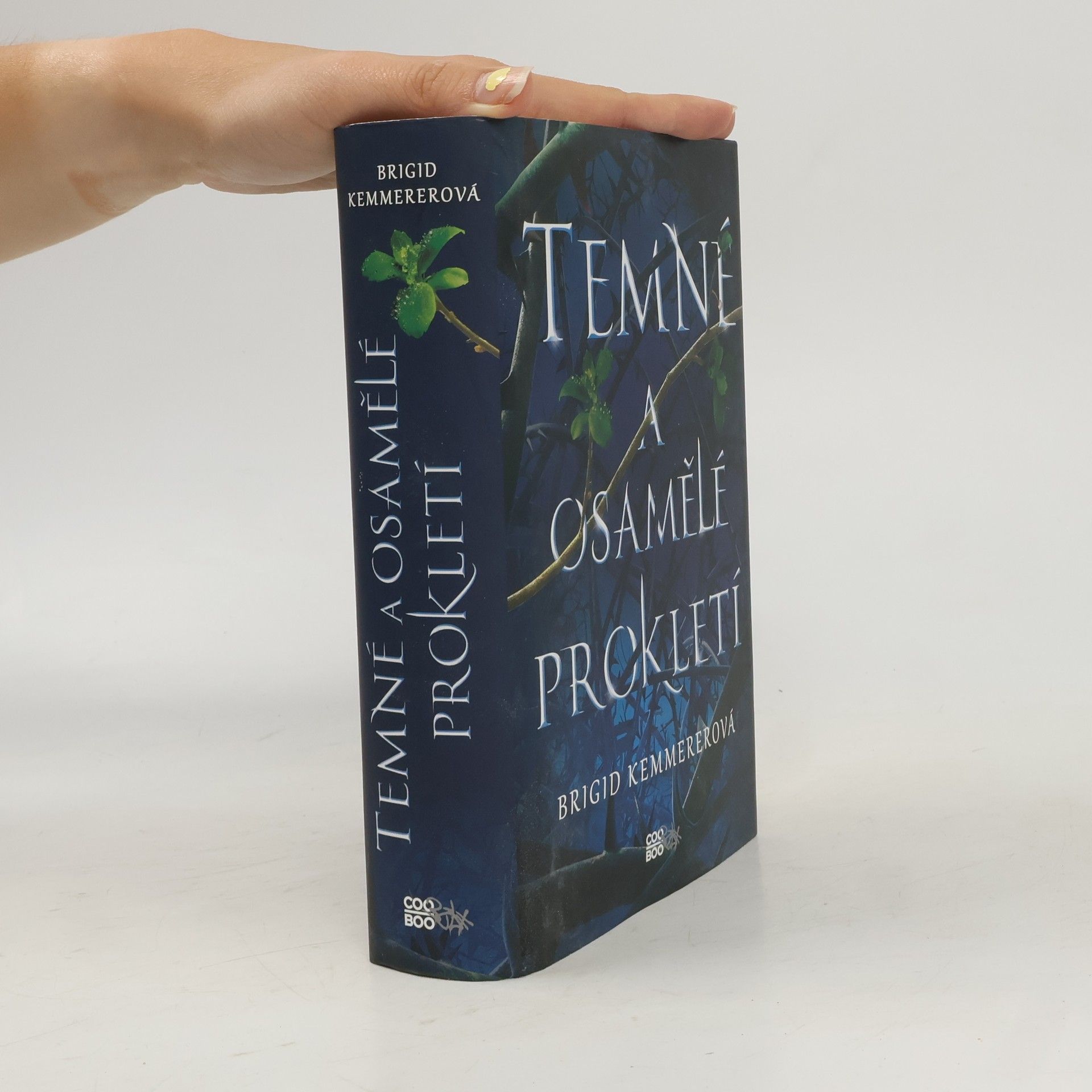 Brigid Kemmerer Temné a osamělé prokletí