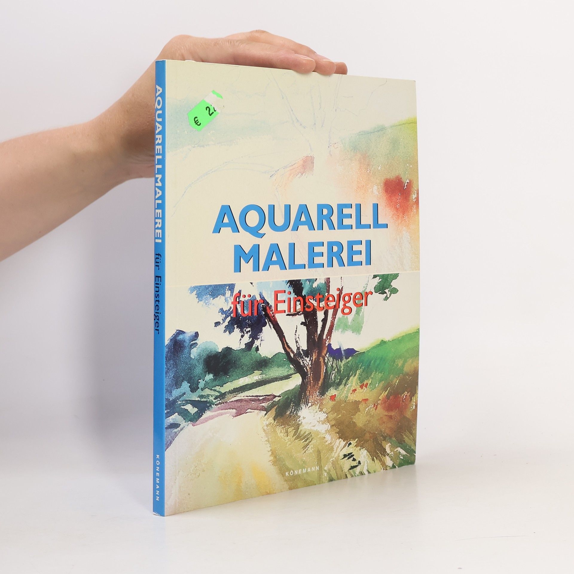 Aquarellmalerei für Einsteiger