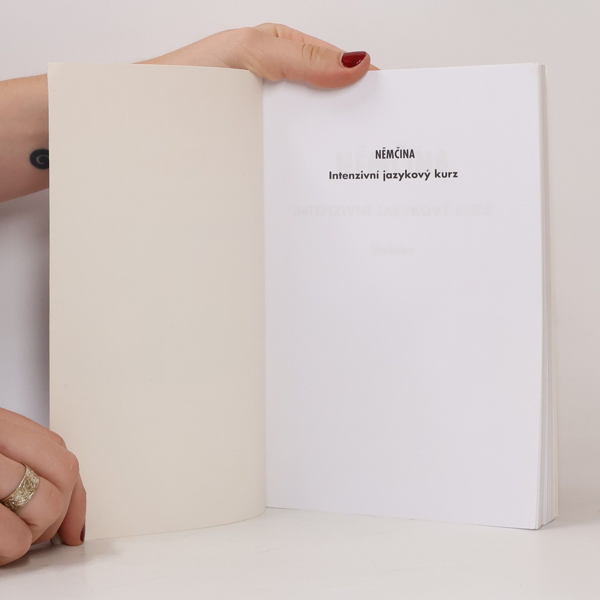 Autorenkollektiv Němčina. Učebnice. Intenzivní jazykový kurz
