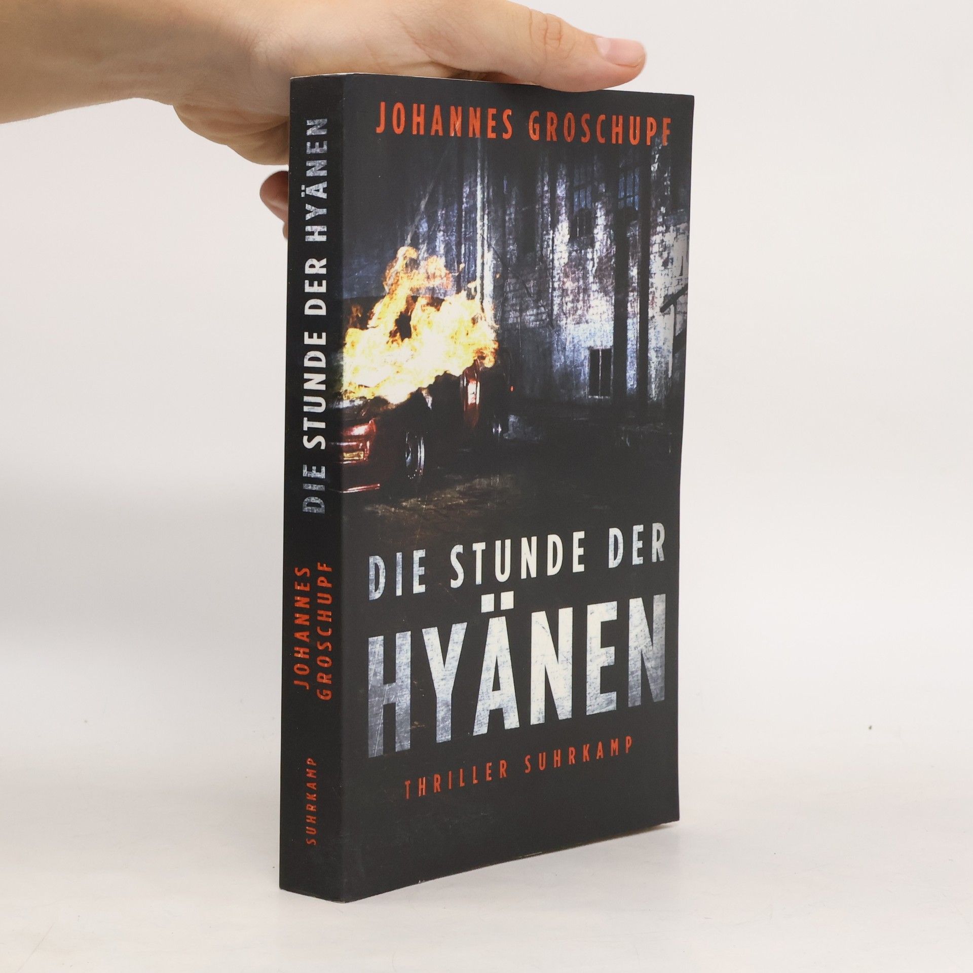 Johannes Groschupf Die Stunde der Hyänen