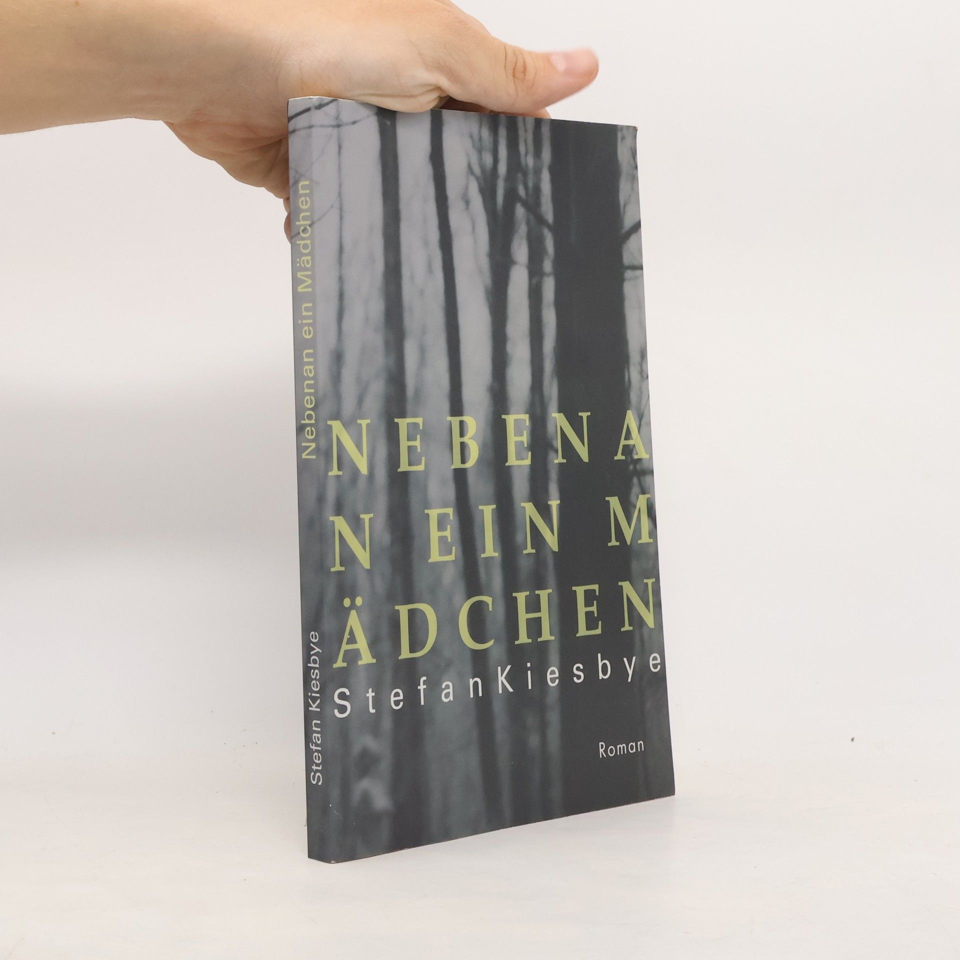 Stefan Kiesbye Nebenan ein Mädchen