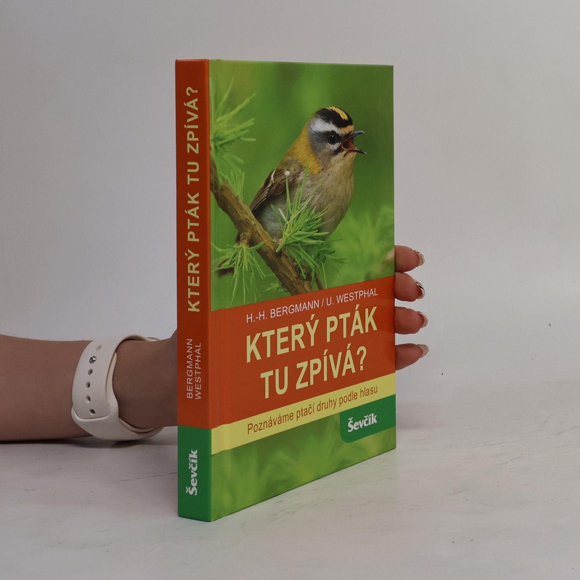 Který pták tu zpívá?